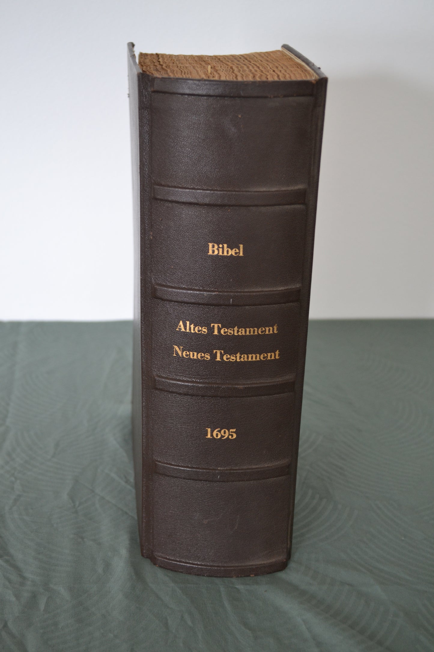 Ratzeburger Bibel - 1695 - Biblia Das ist/ Die gantze H. Schrifft Alten und Neuen Testaments/ Teutsch/ Doct. Martin Luthers