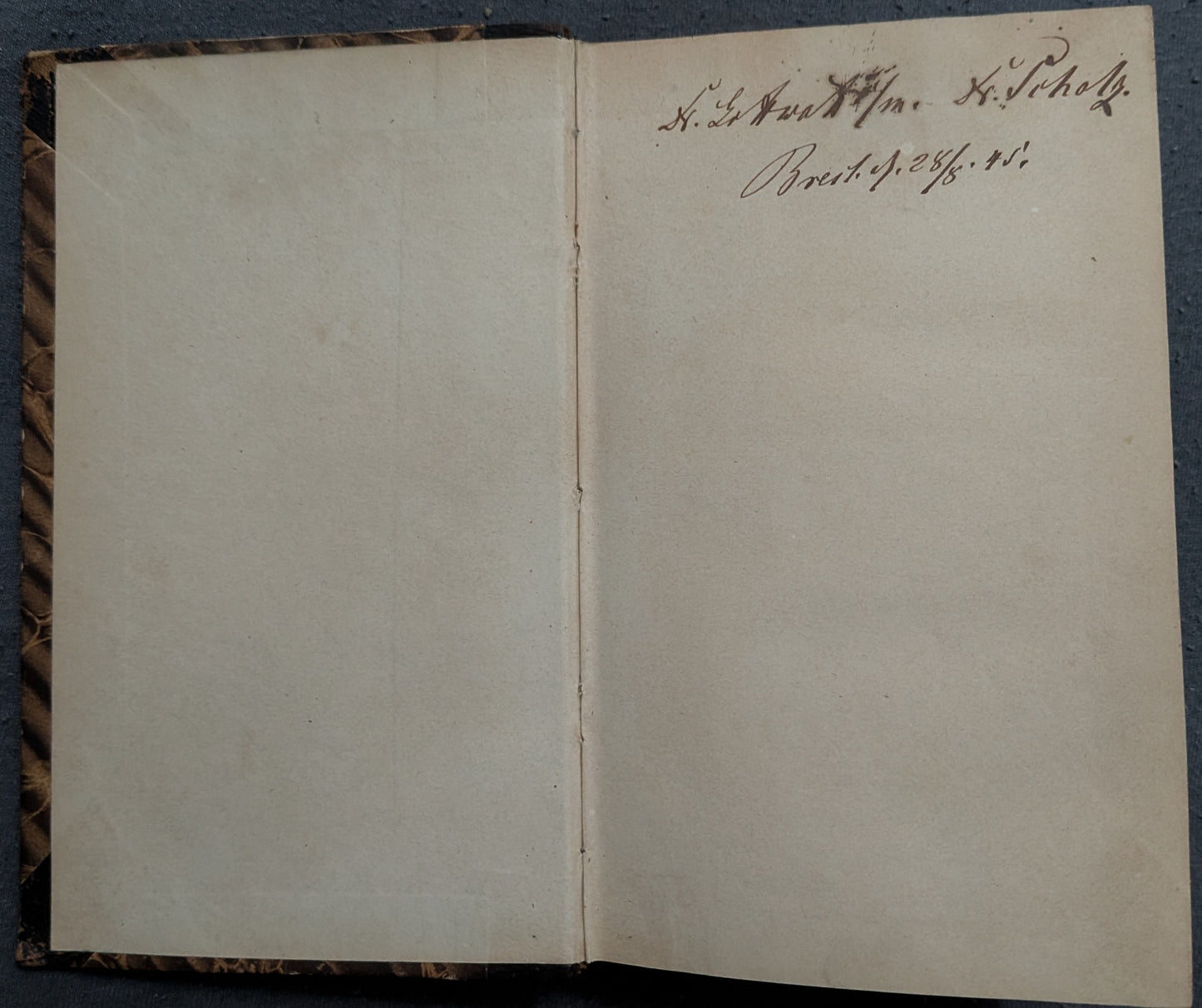 Die vegetativen Krankheiten und die entgiftende Heilmethode - 1835
