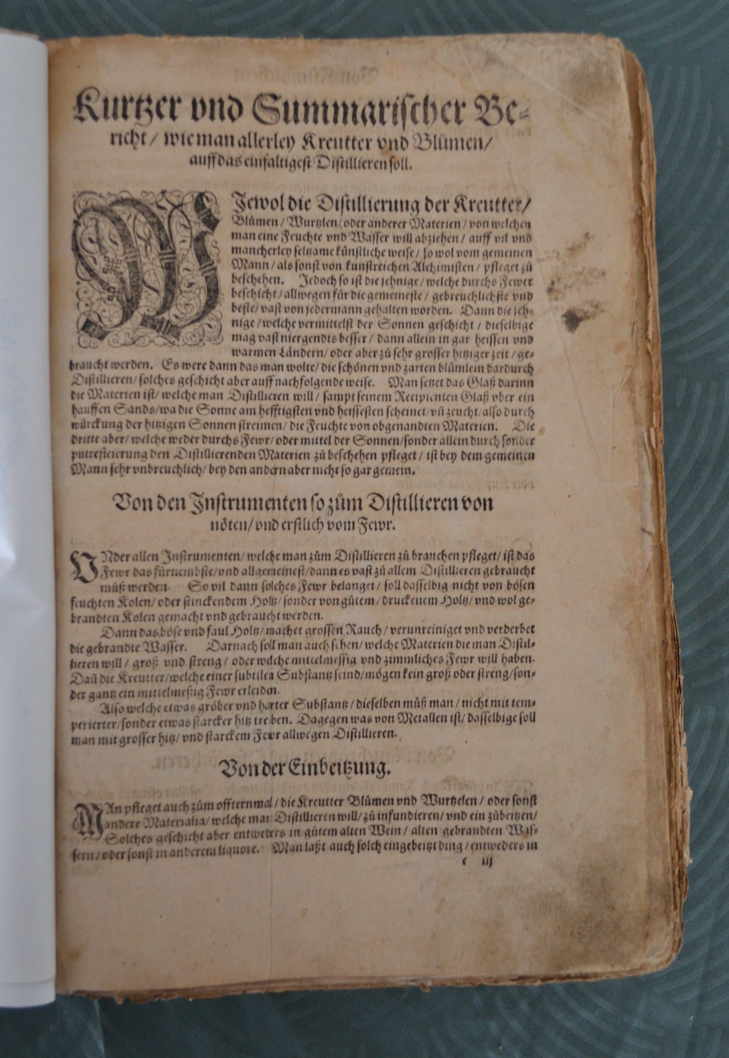 Kreutterbuch von Hieronymus Bock - 1595