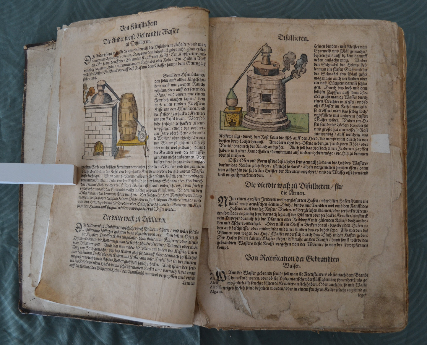 Kreutterbuch von Hieronymus Bock - 1595
