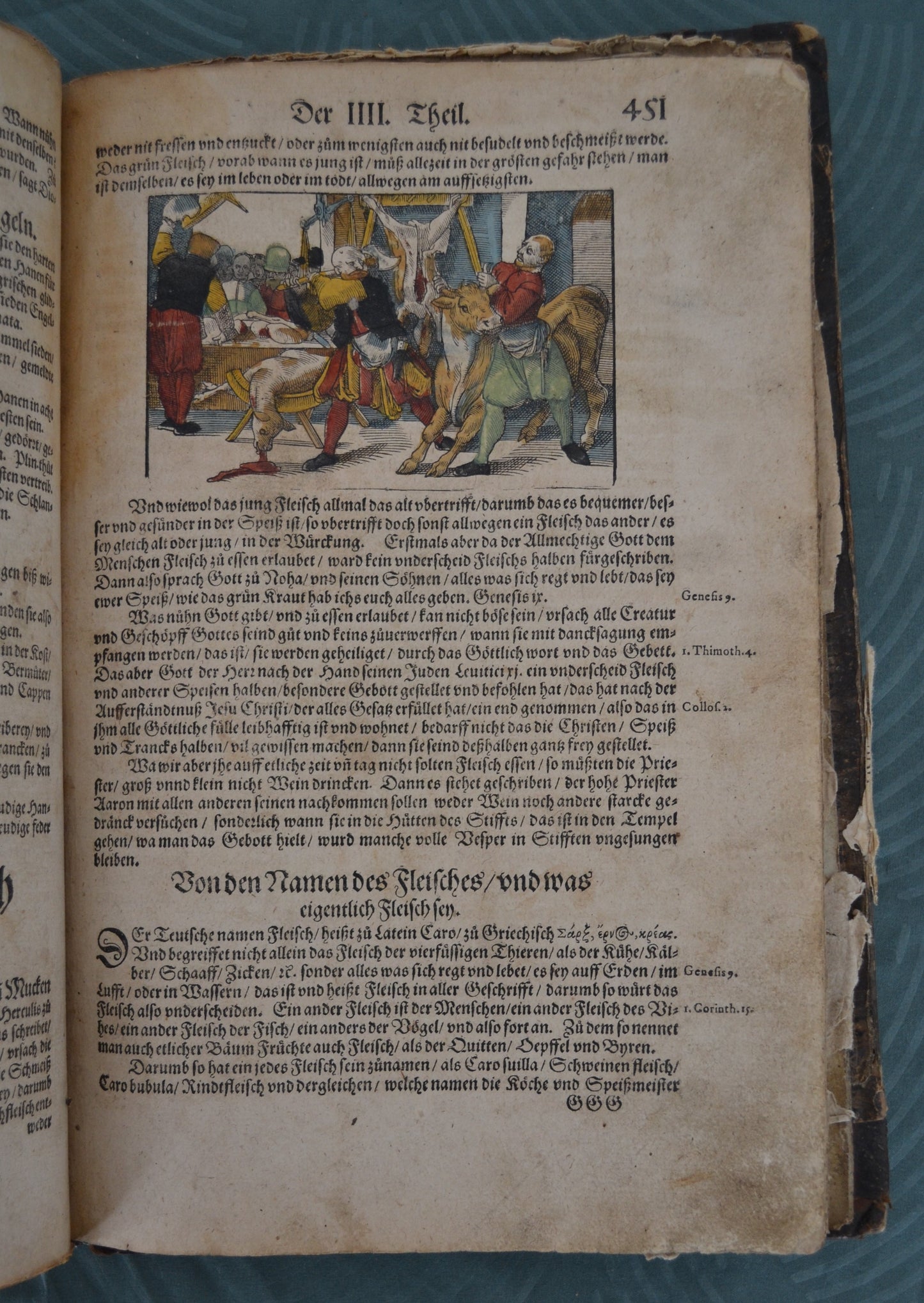 Kreutterbuch von Hieronymus Bock - 1595