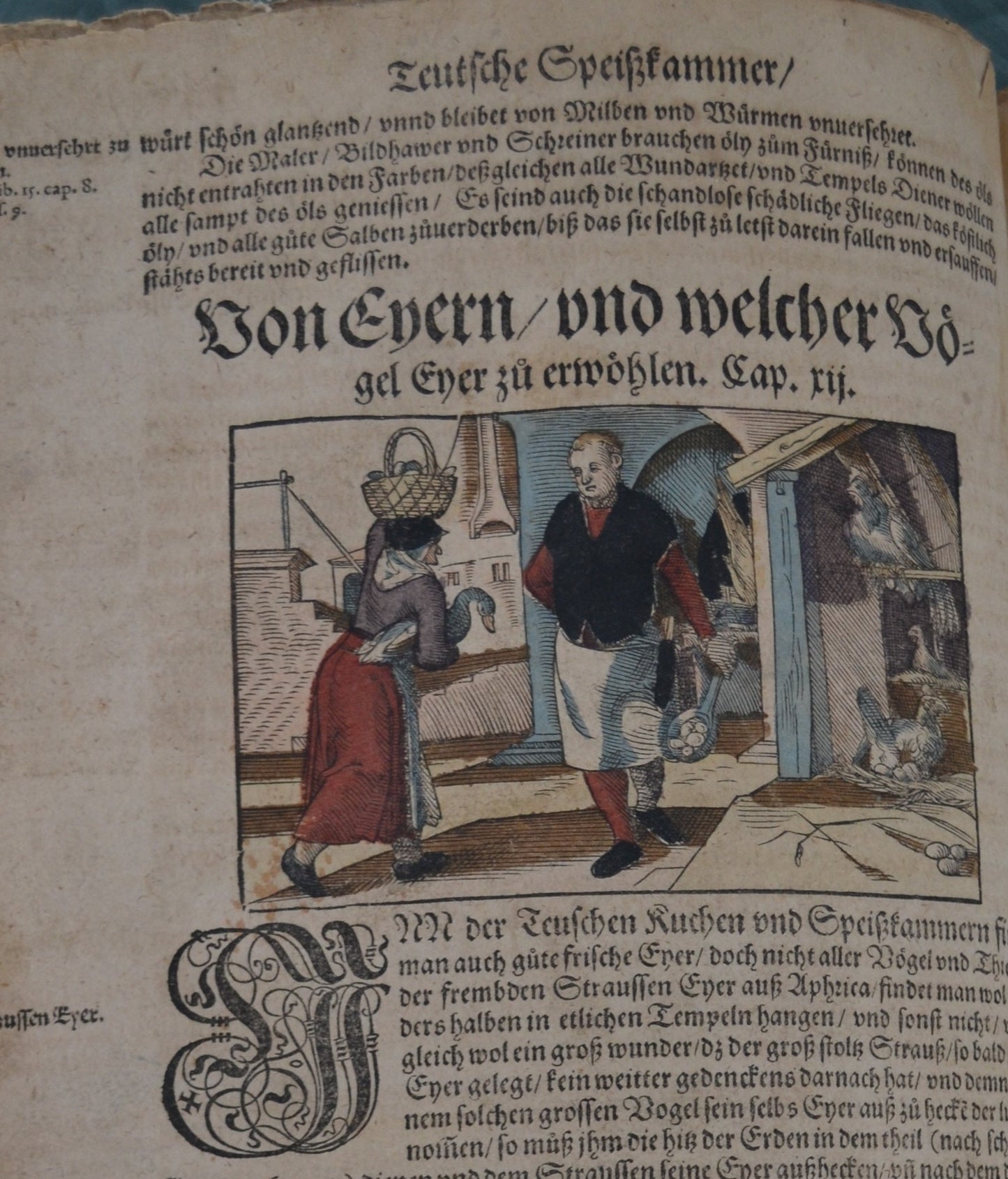 Kreutterbuch von Hieronymus Bock - 1595