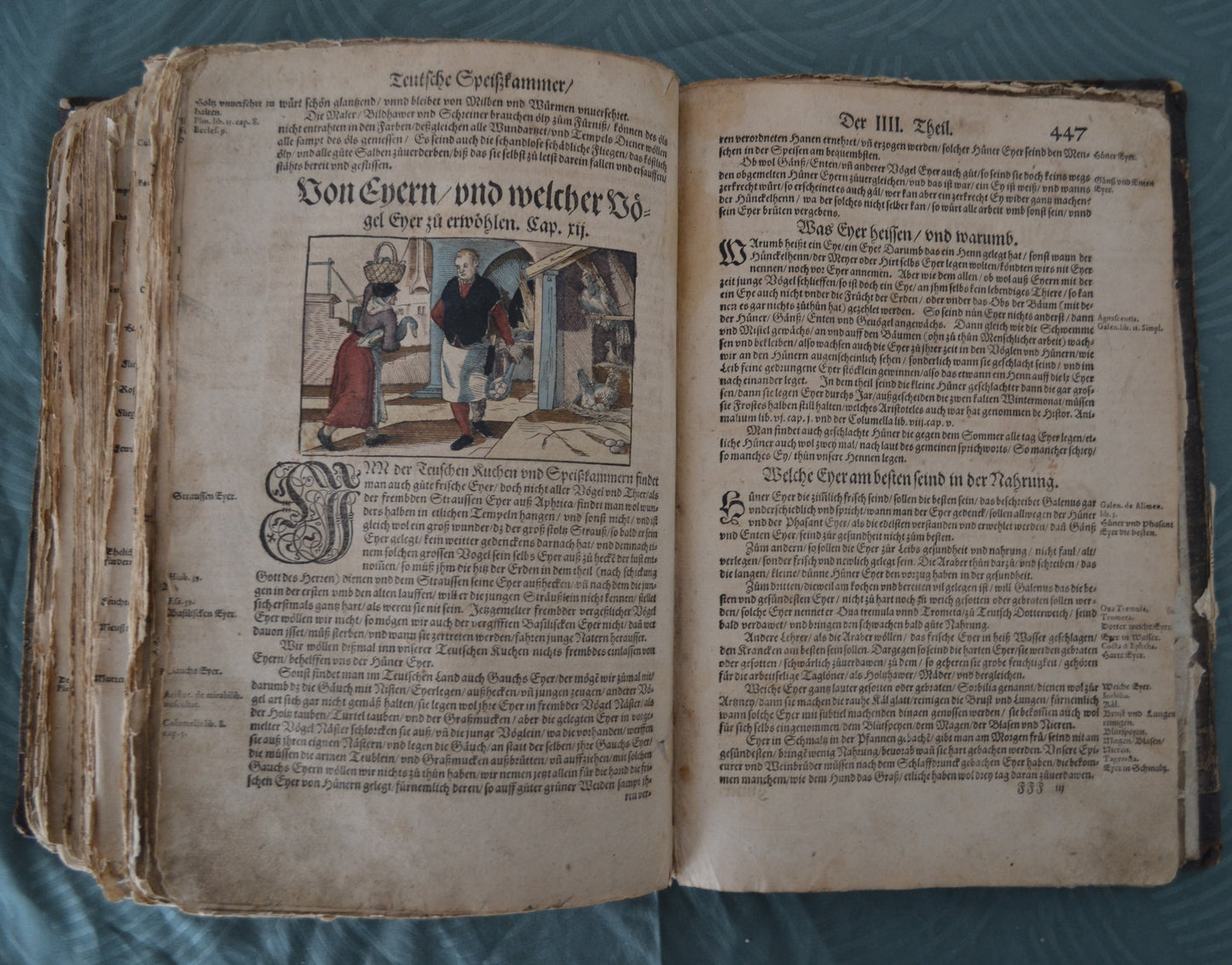 Kreutterbuch von Hieronymus Bock - 1595
