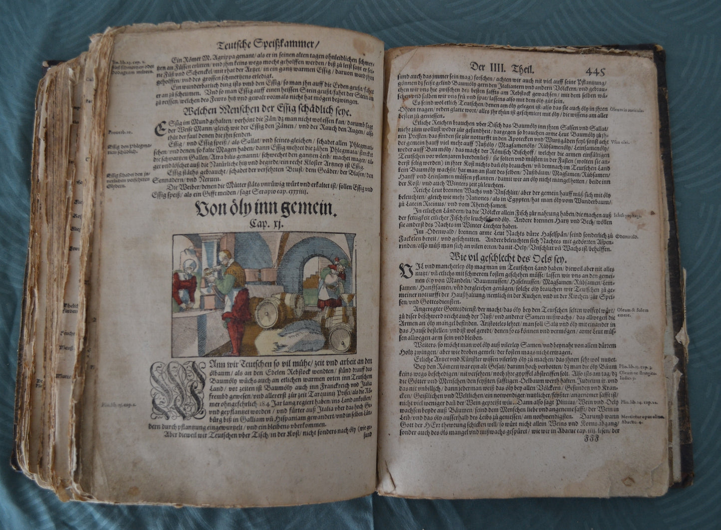Kreutterbuch von Hieronymus Bock - 1595