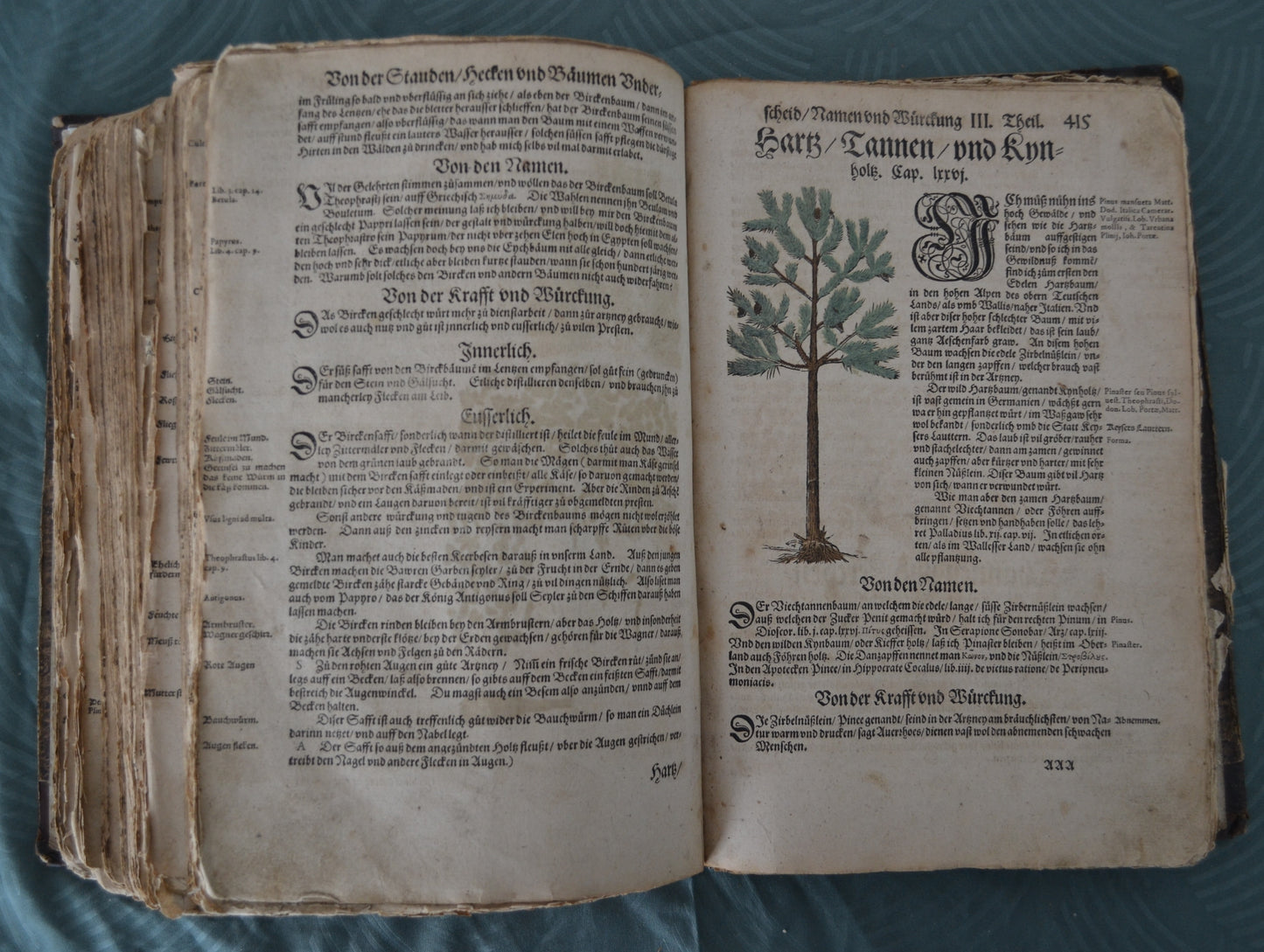 Kreutterbuch von Hieronymus Bock - 1595