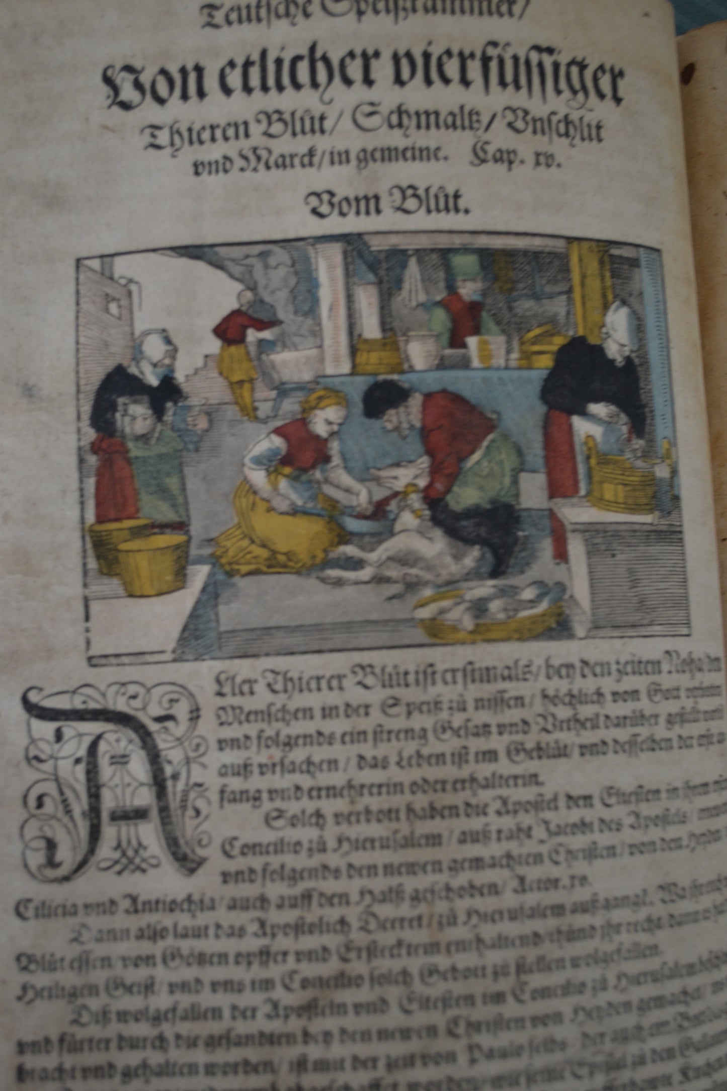Kreutterbuch von Hieronymus Bock - 1595