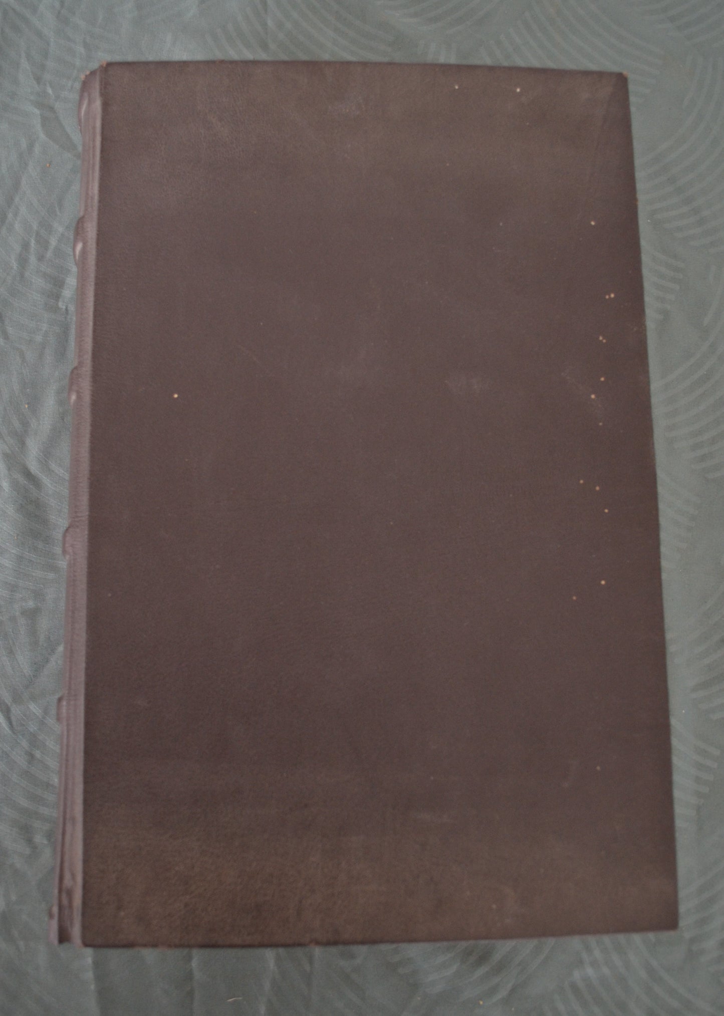 Ratzeburger Bibel - 1695 - Biblia Das ist/ Die gantze H. Schrifft Alten und Neuen Testaments/ Teutsch/ Doct. Martin Luthers