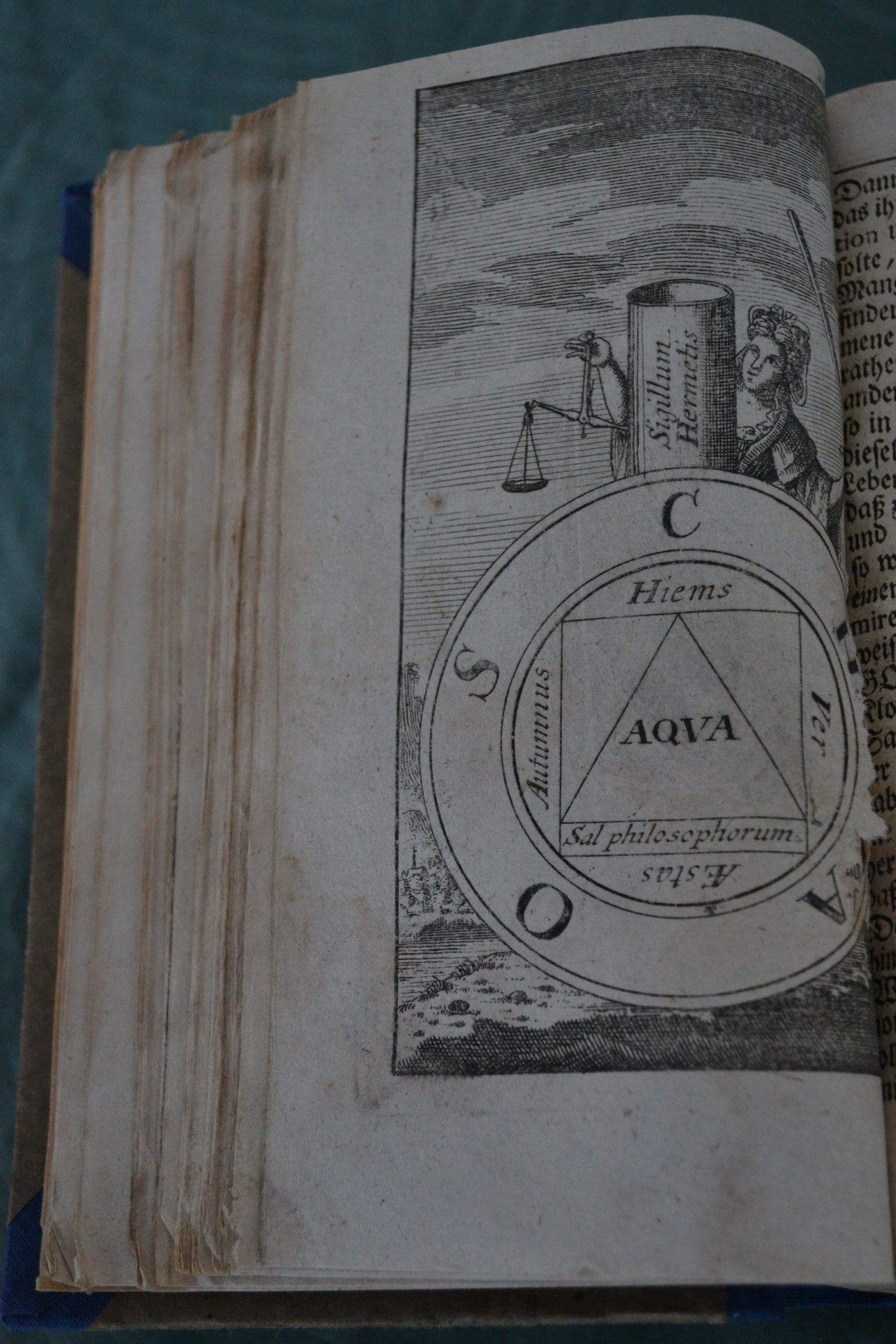 Folget nun Hrn. Doct. GEORG WOLFFGANG WEDLS - Erstausgabe - 1704 - (sehr selten)