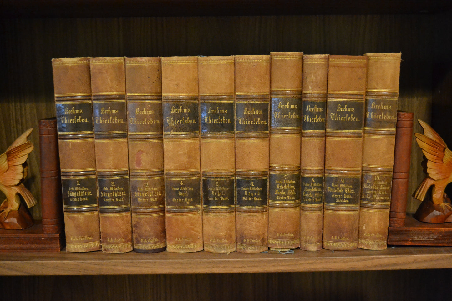 Brehms Thierleben. Allgemeine Kunde des Thierreichs - 1867