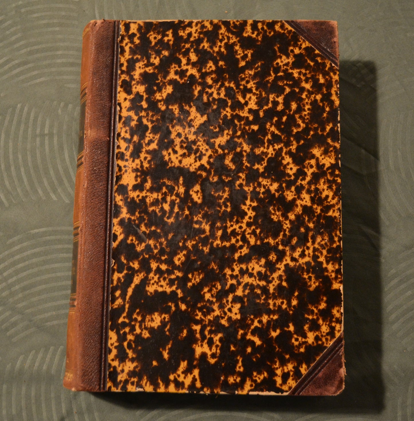 Brehms Thierleben. Allgemeine Kunde des Thierreichs - 1867