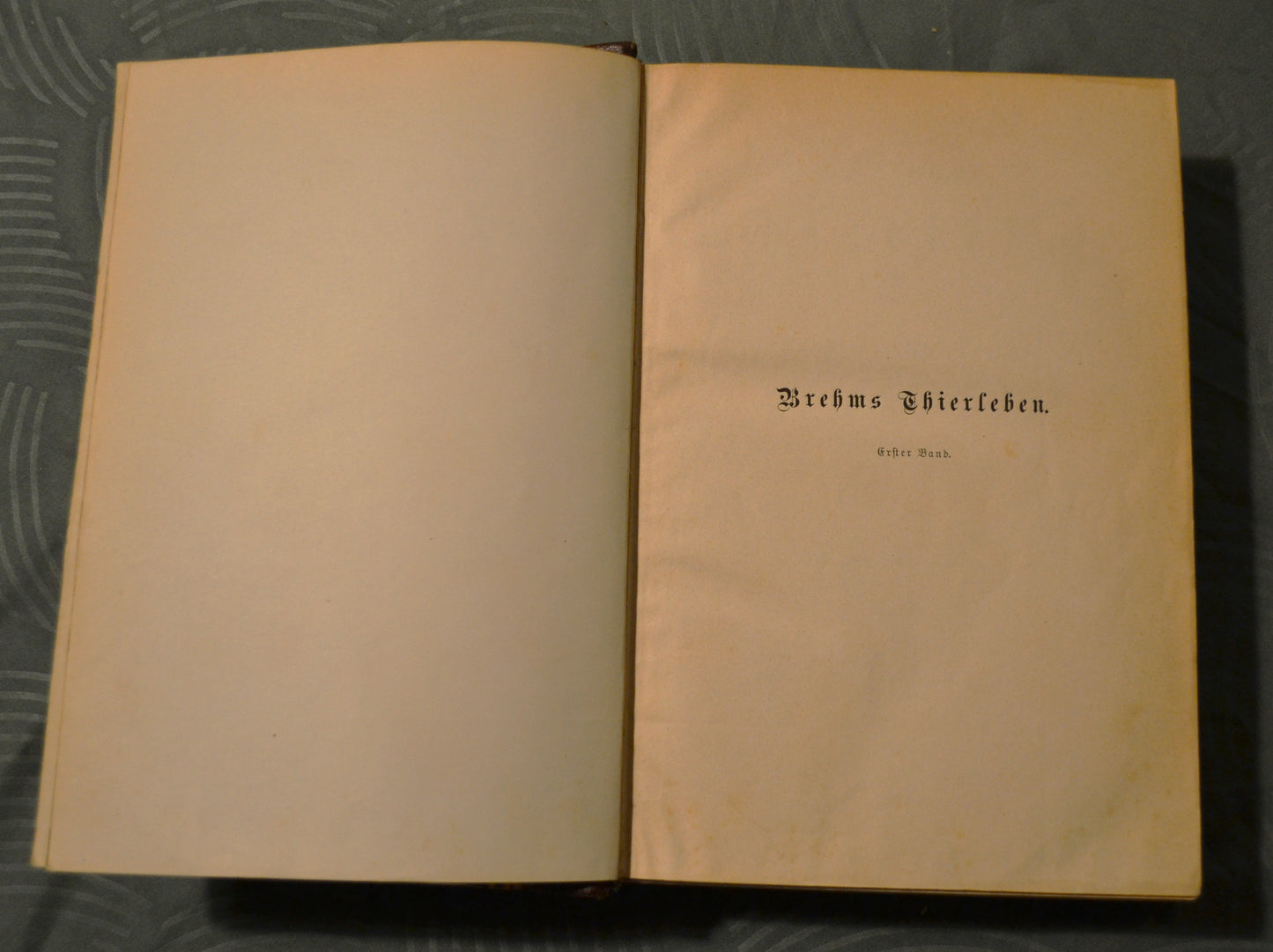 Brehms Thierleben. Allgemeine Kunde des Thierreichs - 1867