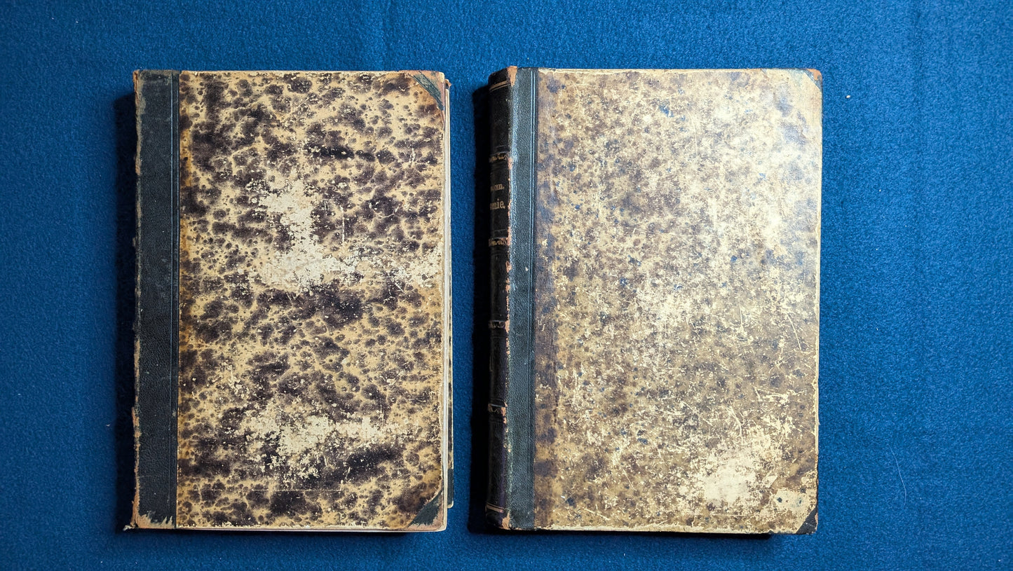 Die Descriptive und Topografische Anatomie des Menschen in 600 Abbildungen 2 Bände - 1875