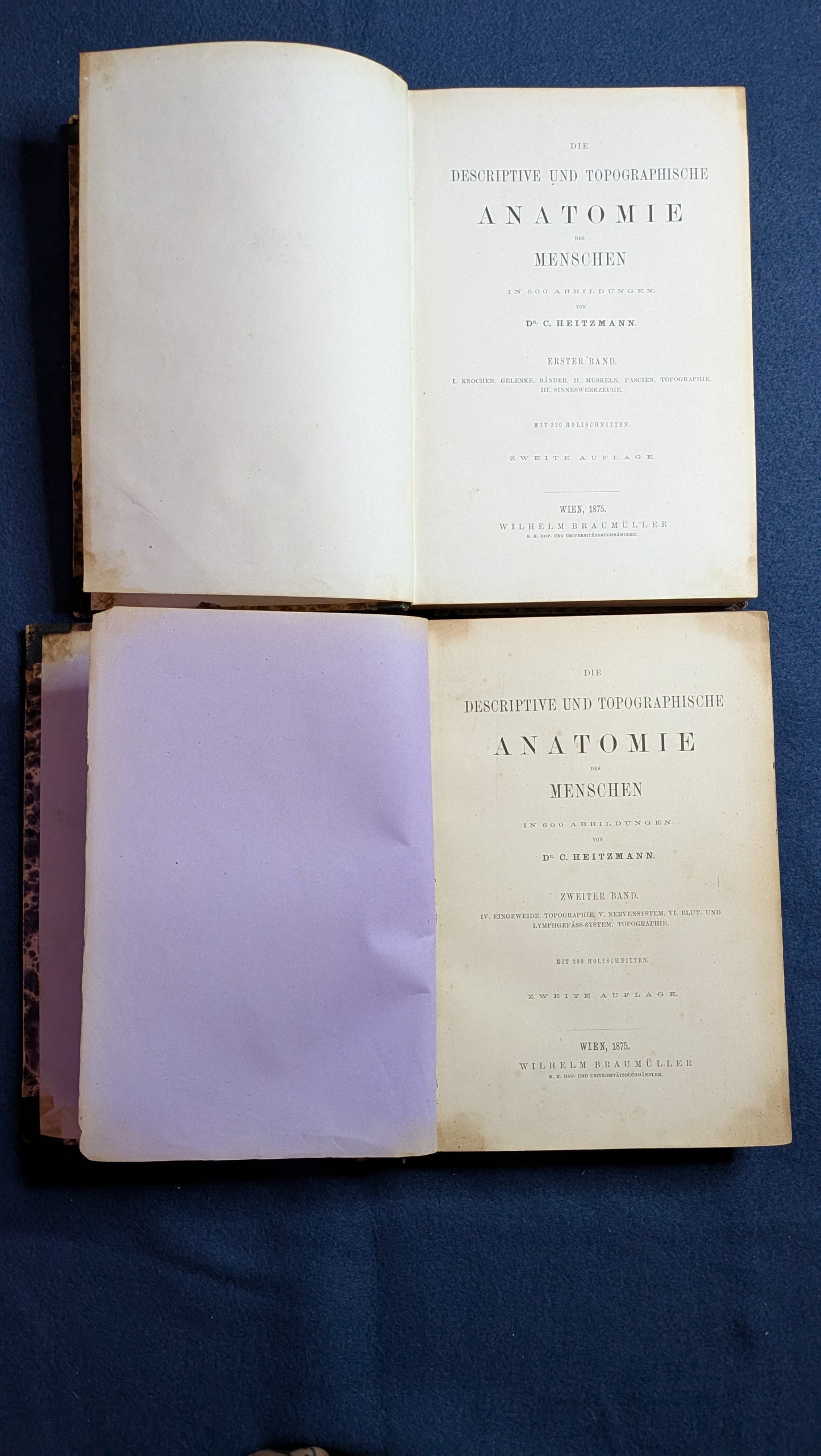 Die Descriptive und Topografische Anatomie des Menschen in 600 Abbildungen 2 Bände - 1875