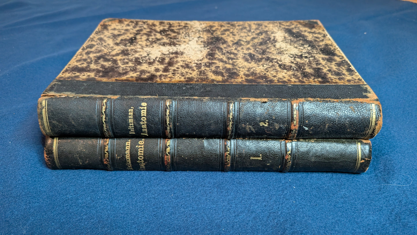 Die Descriptive und Topografische Anatomie des Menschen in 600 Abbildungen 2 Bände - 1875
