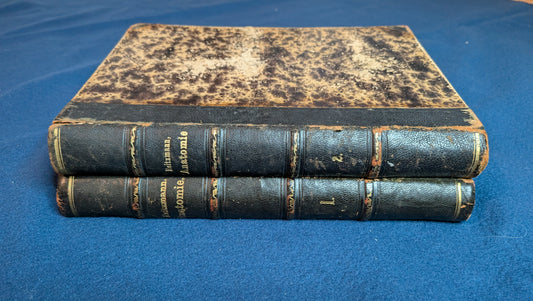 Die Descriptive und Topografische Anatomie des Menschen in 600 Abbildungen 2 Bände - 1875