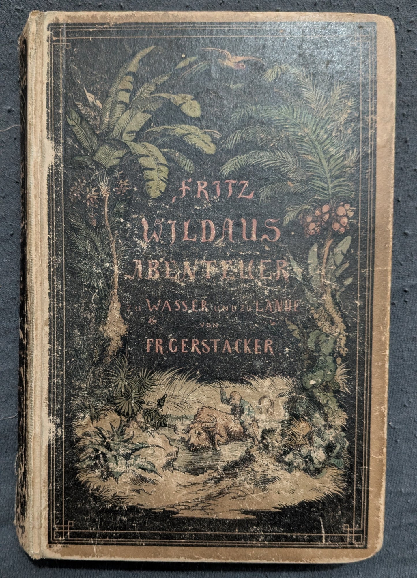Fritz Wildaus Abenteuer zu Wasser und zu Lande - 1879