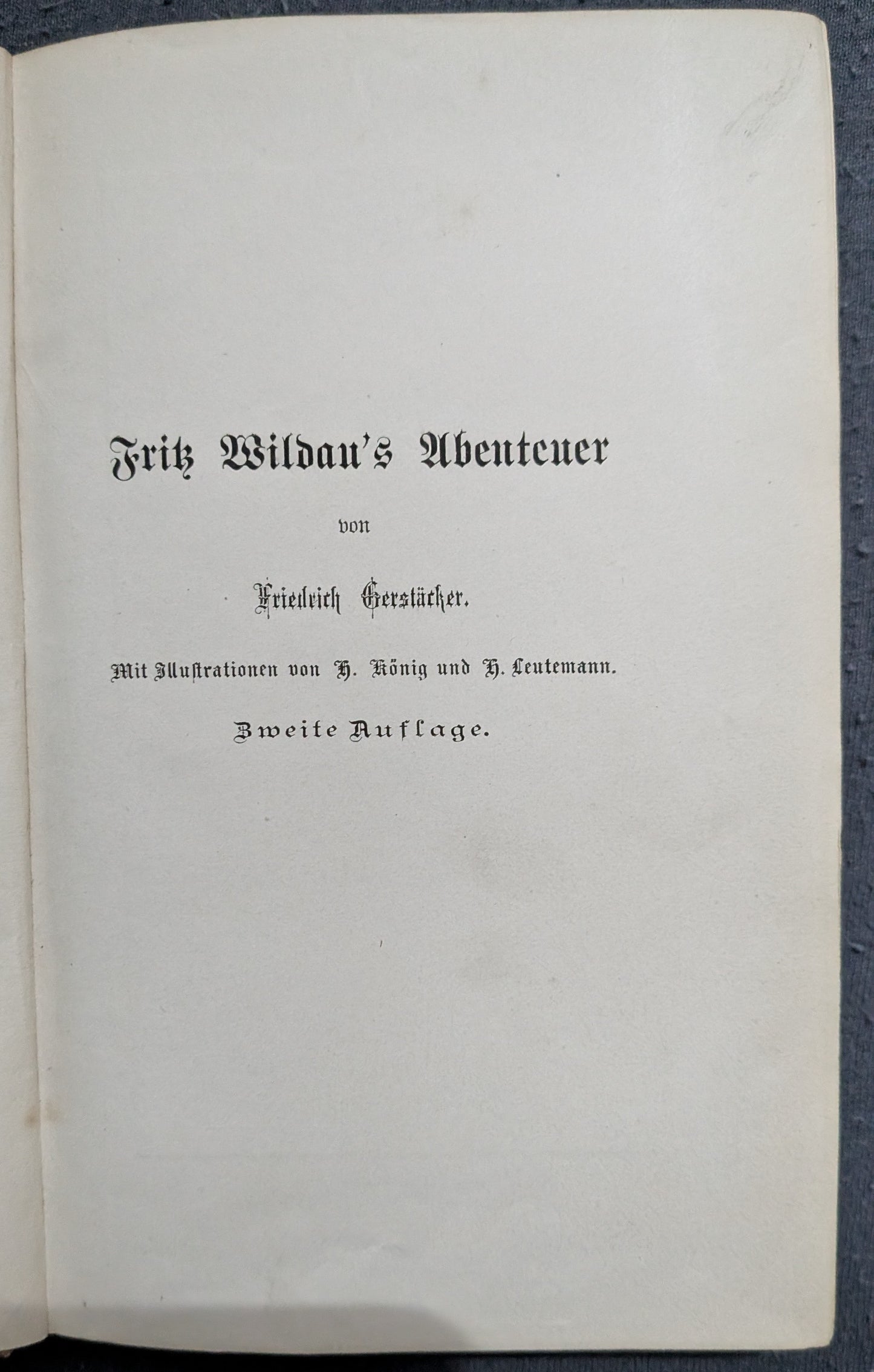 Fritz Wildaus Abenteuer zu Wasser und zu Lande - 1879