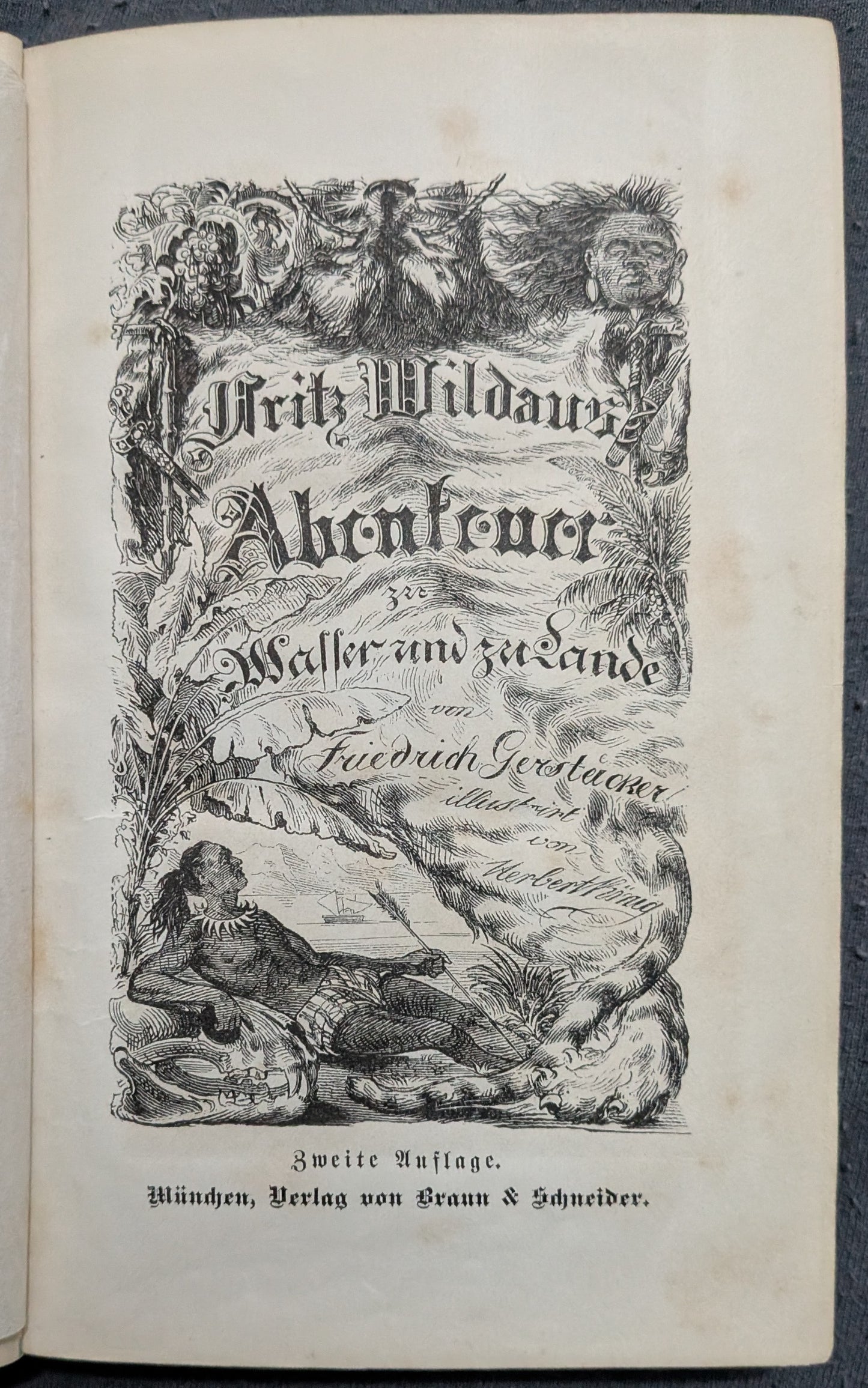 Fritz Wildaus Abenteuer zu Wasser und zu Lande - 1879