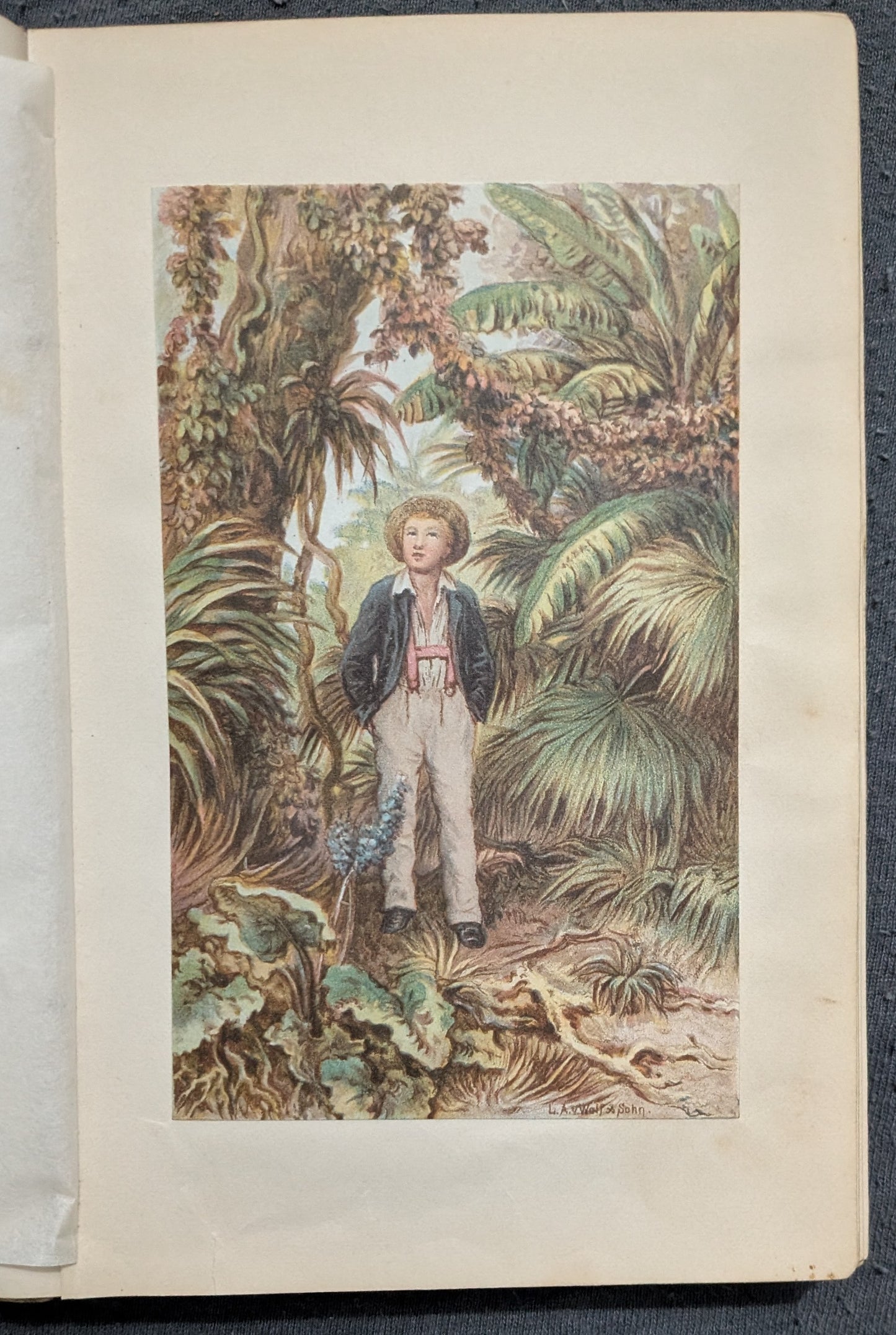 Fritz Wildaus Abenteuer zu Wasser und zu Lande - 1879