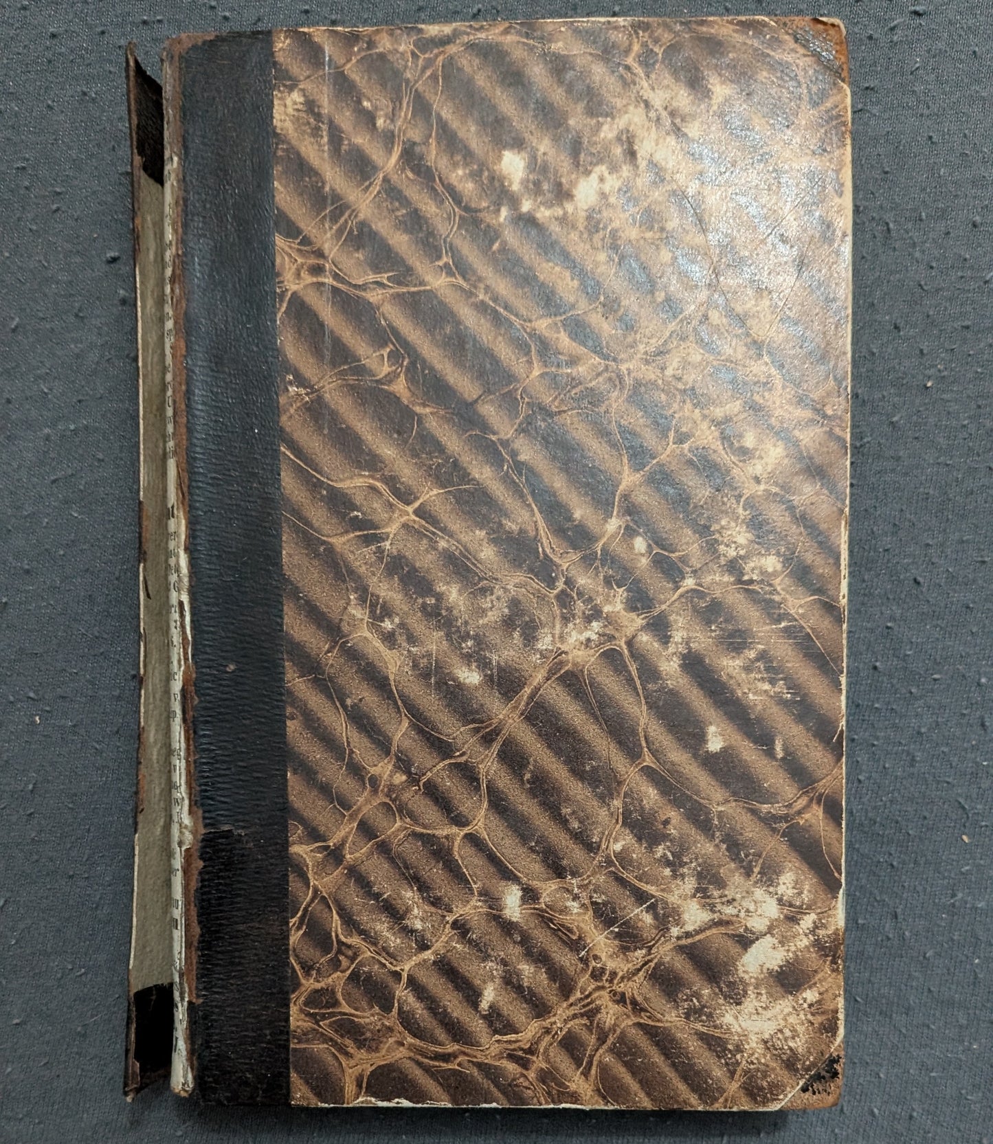 Die vegetativen Krankheiten und die entgiftende Heilmethode - 1835