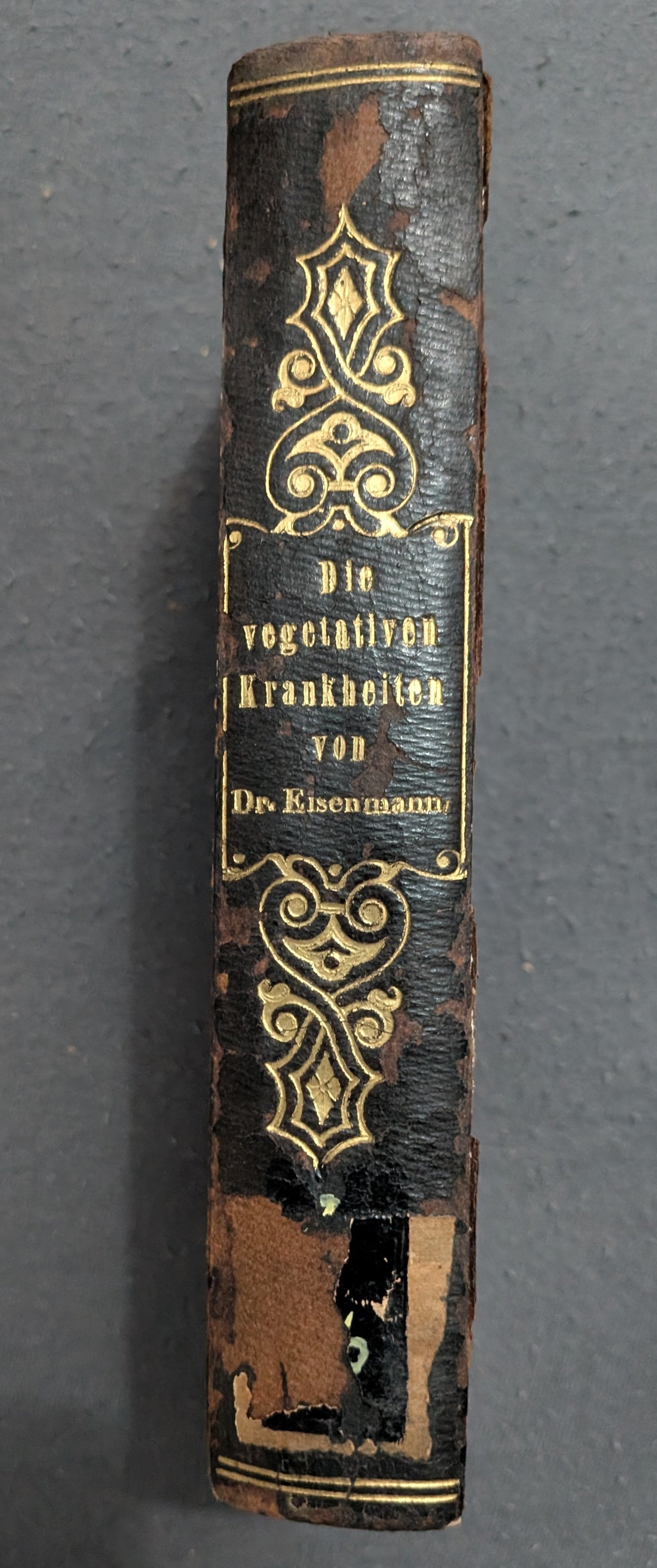 Die vegetativen Krankheiten und die entgiftende Heilmethode - 1835