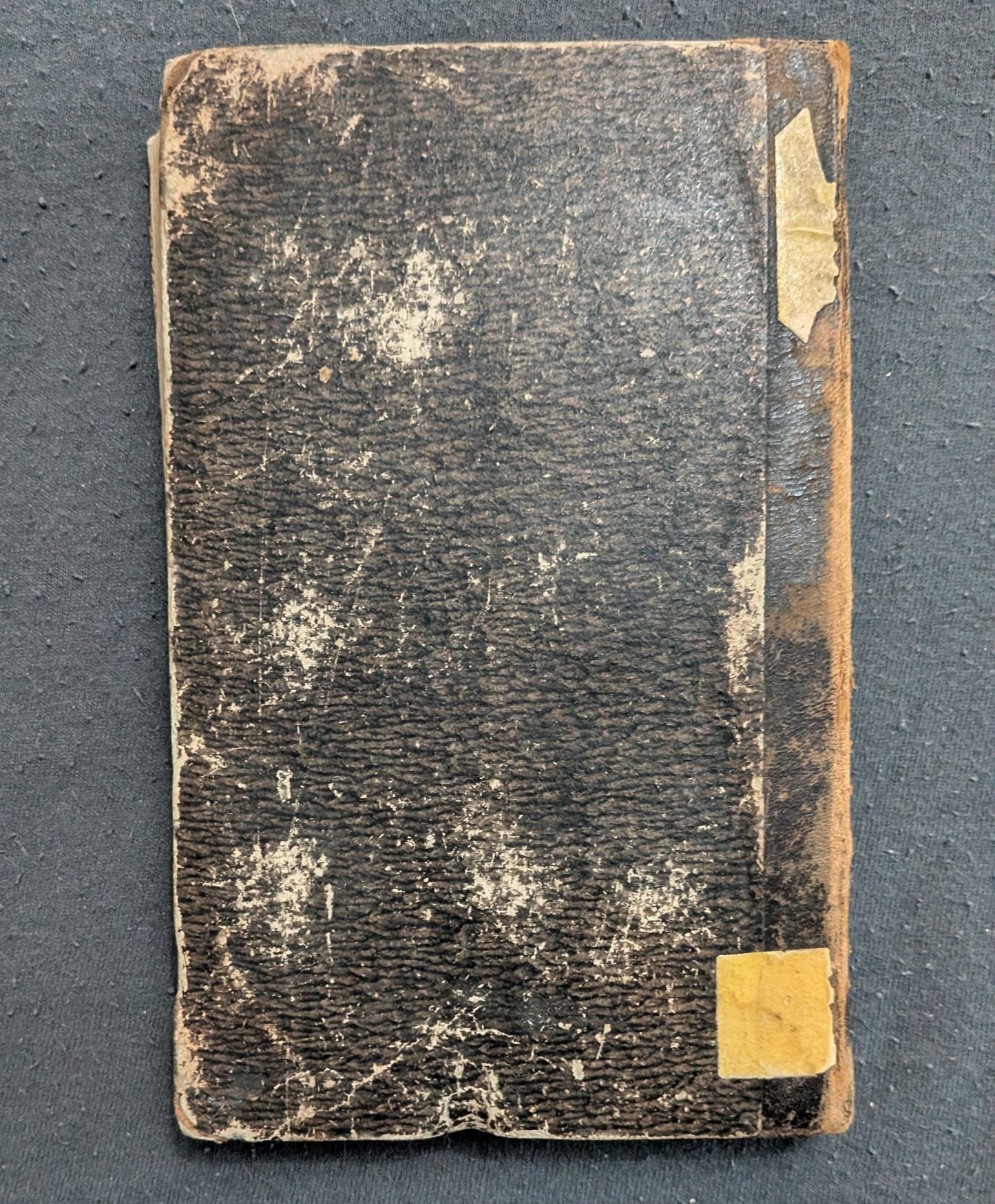 Geschichte Peters des Großen - 1868