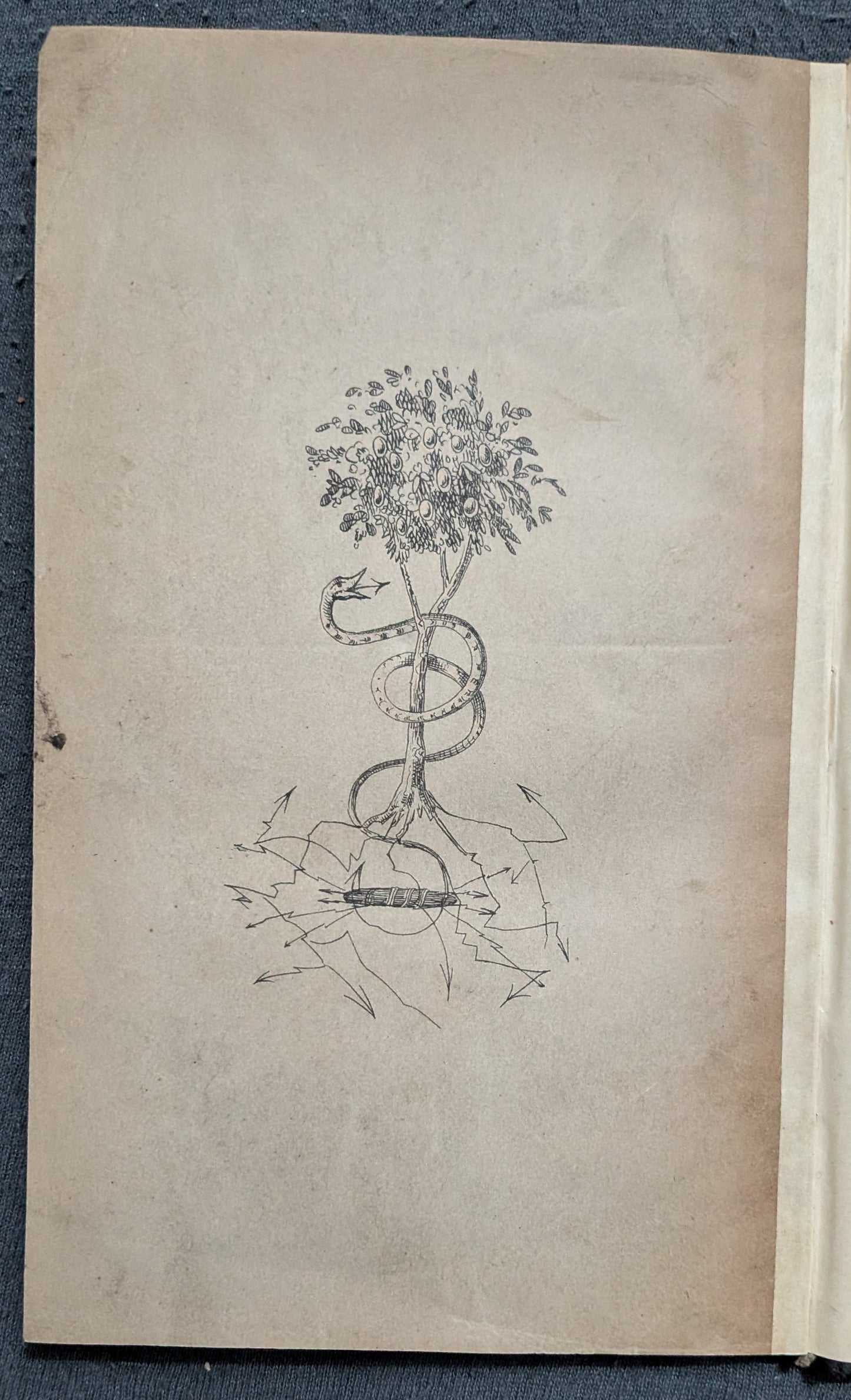 Der Doktor Faust - Erstauflage - 1851