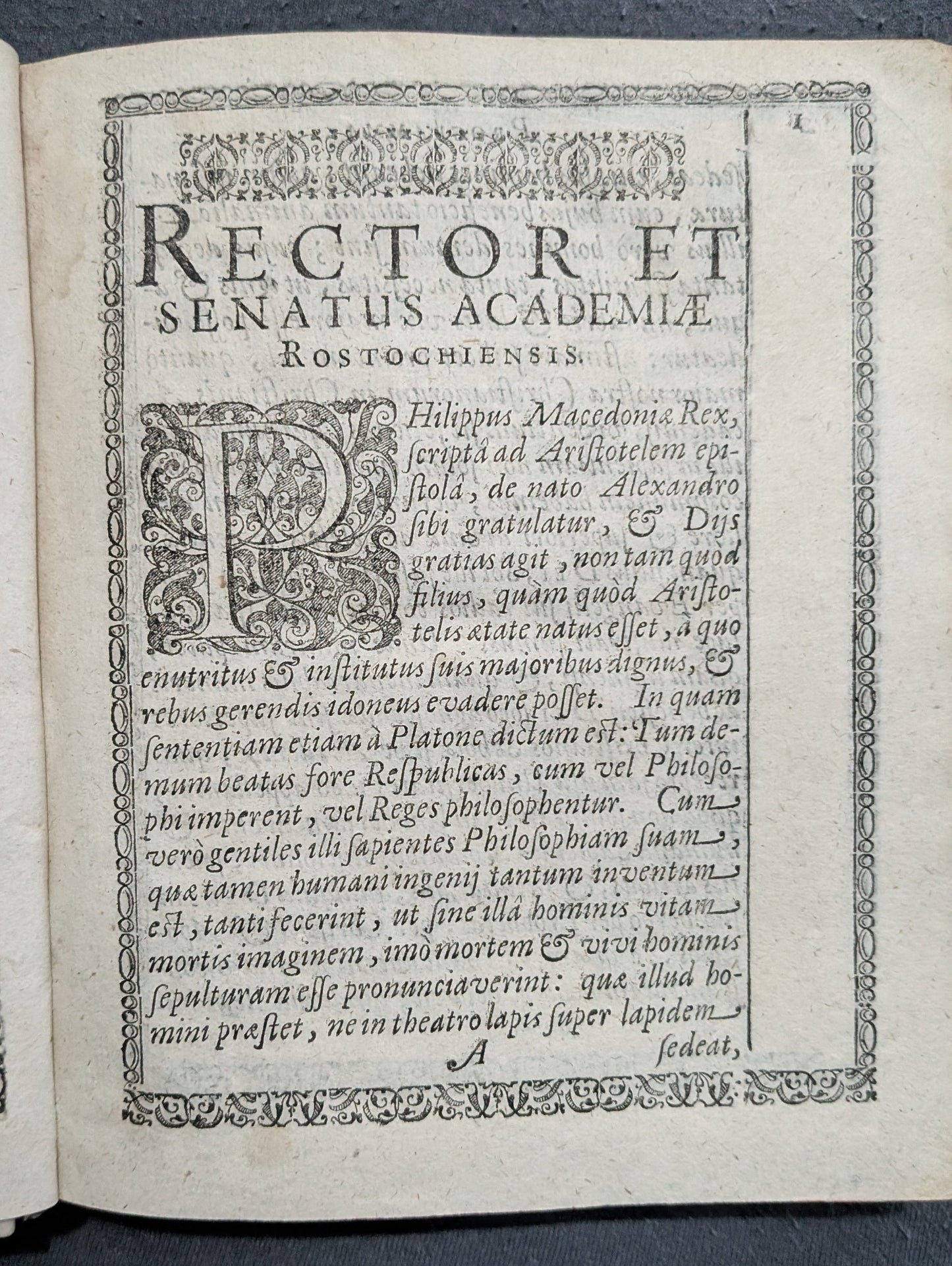 Corona Varno-Balthico-Rosea - 1625