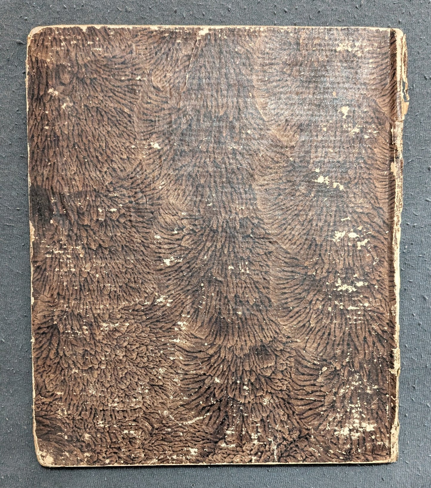 Seder Haggadah shel Pesach im Targum Ashkenaz. - Erstausgabe - 1816