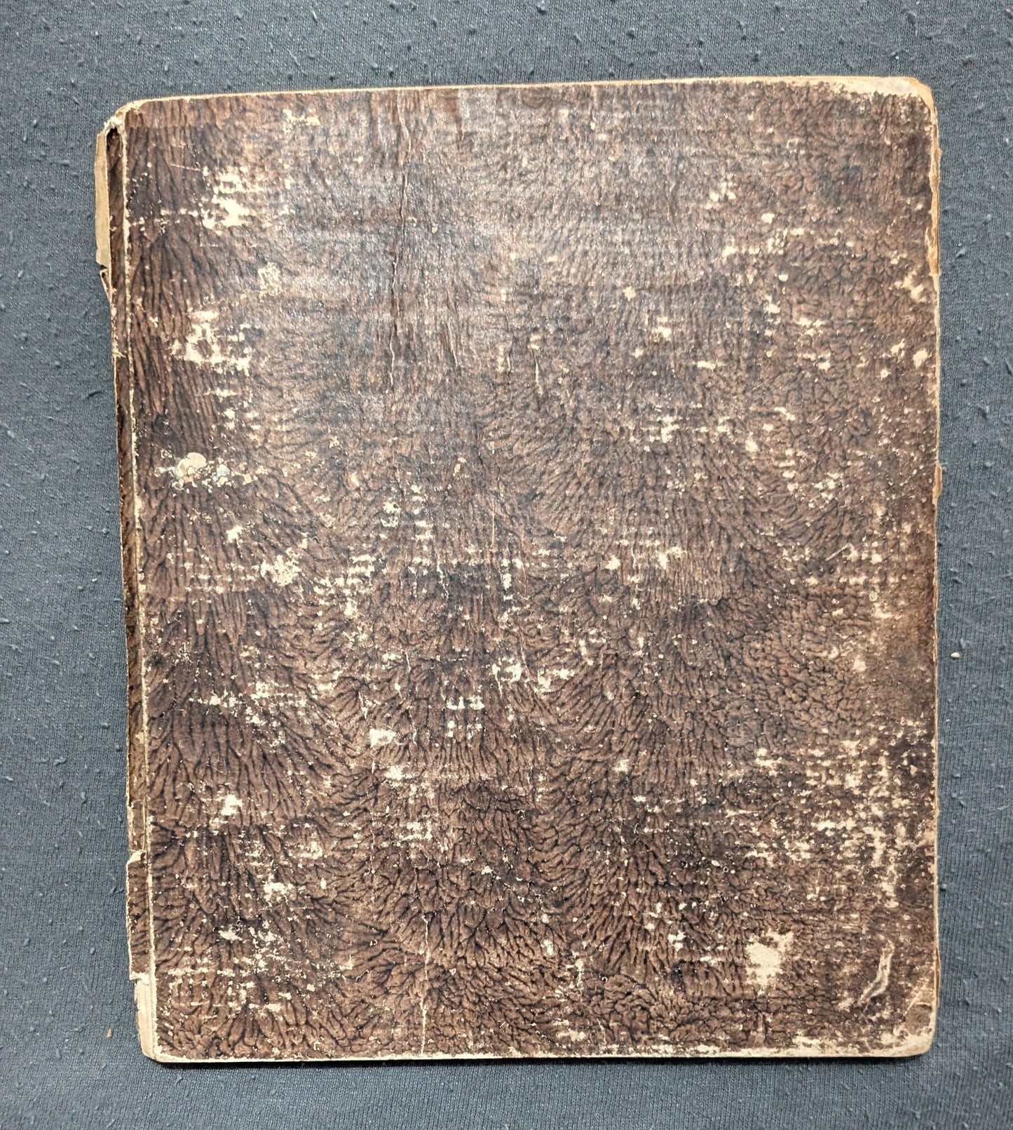 Seder Haggadah shel Pesach im Targum Ashkenaz. - Erstausgabe - 1816