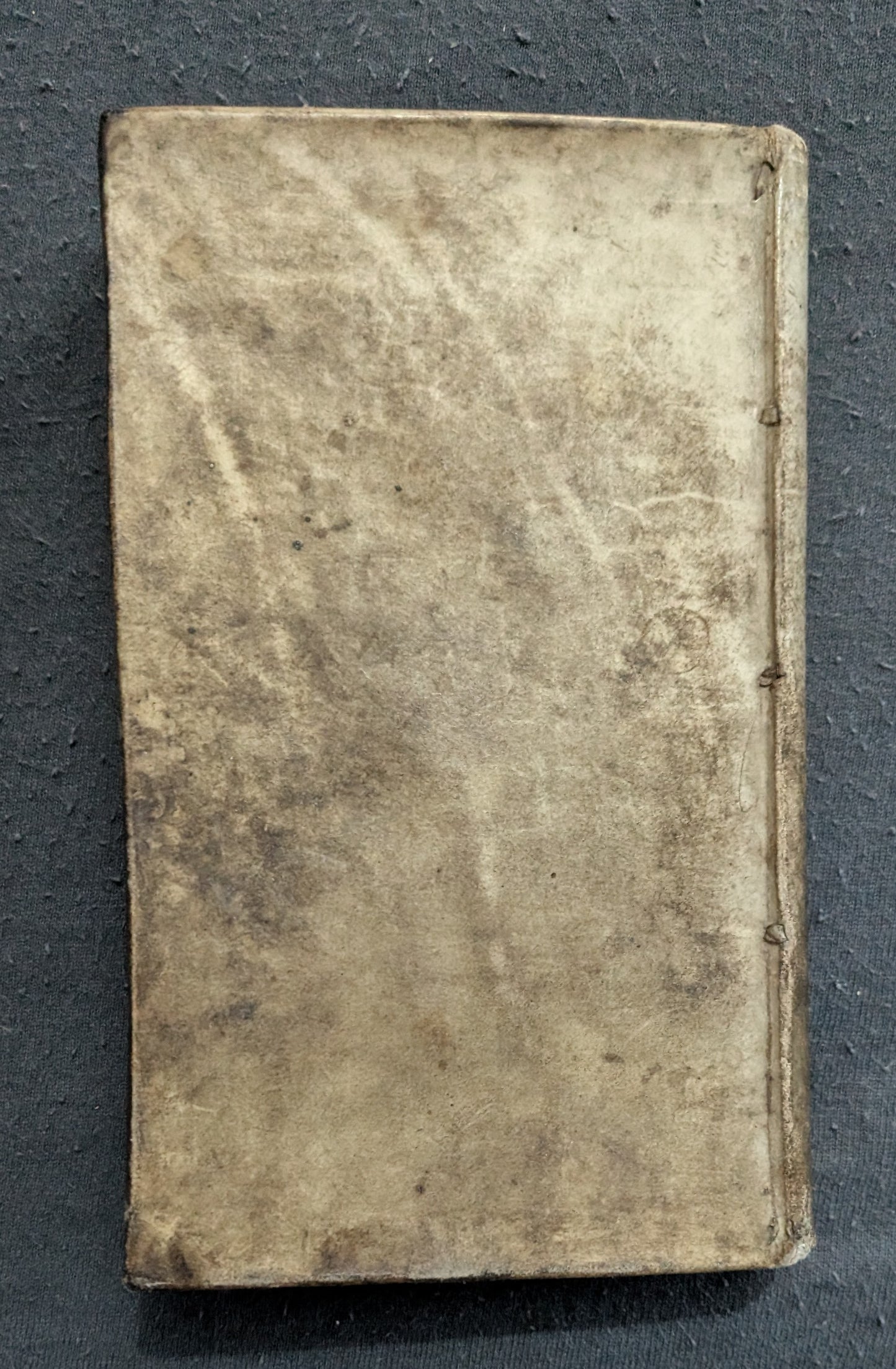 Die Würtembergische Tabea, oder das Merckwürdige äussere und innere Leben... - 1732