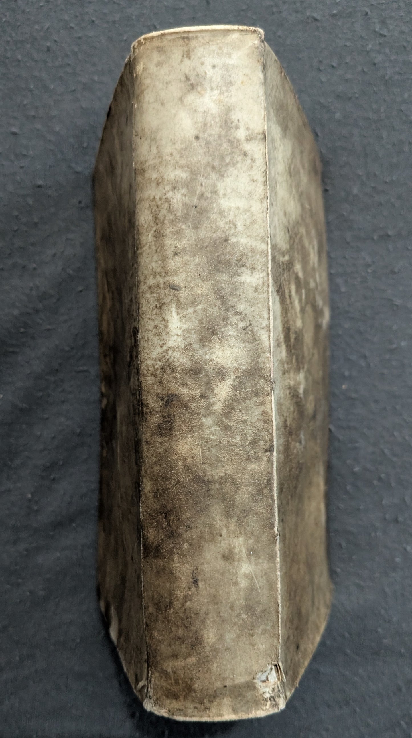 Die Würtembergische Tabea, oder das Merckwürdige äussere und innere Leben... - 1732