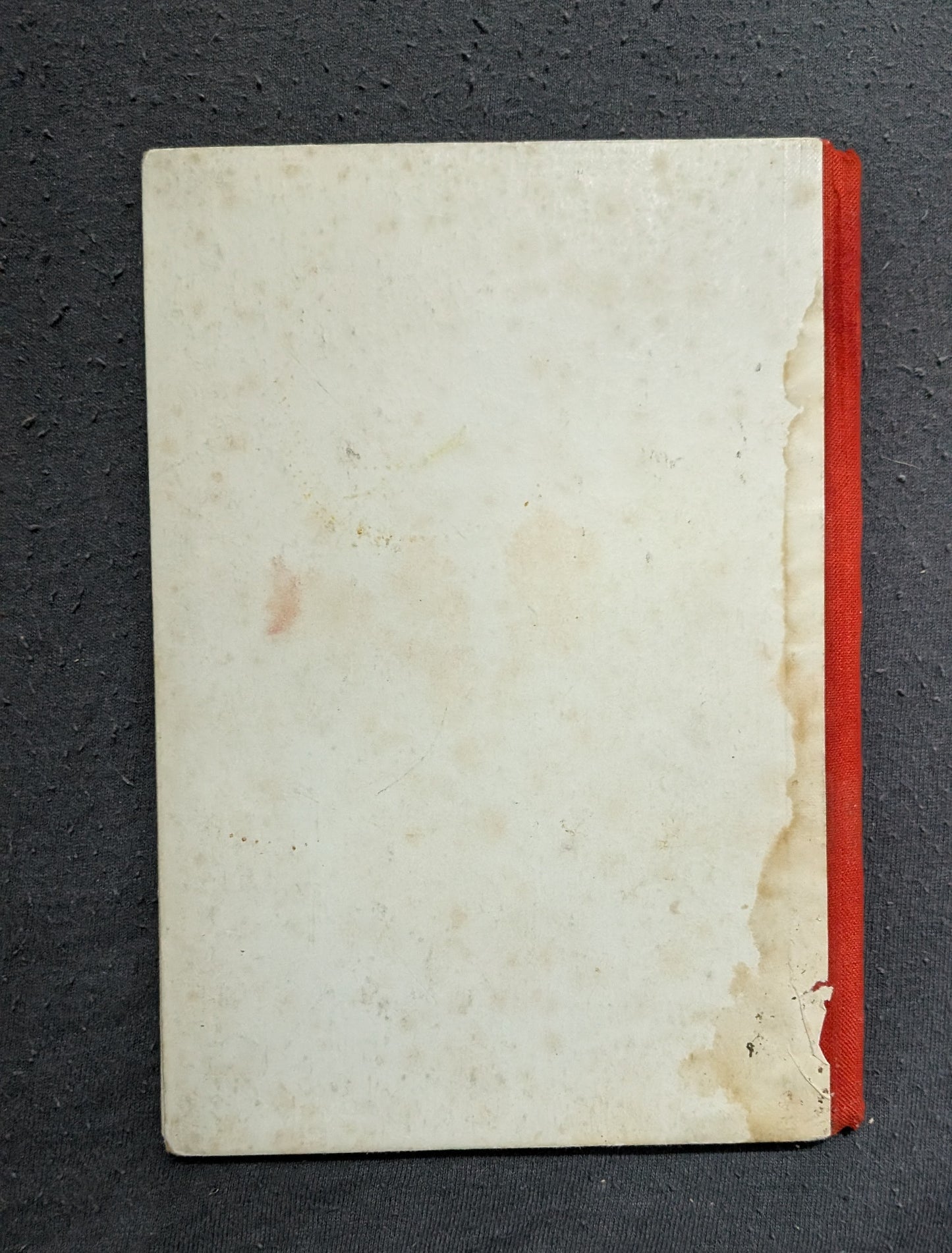 Die wilde Ilse - Erstausgabe - 1931