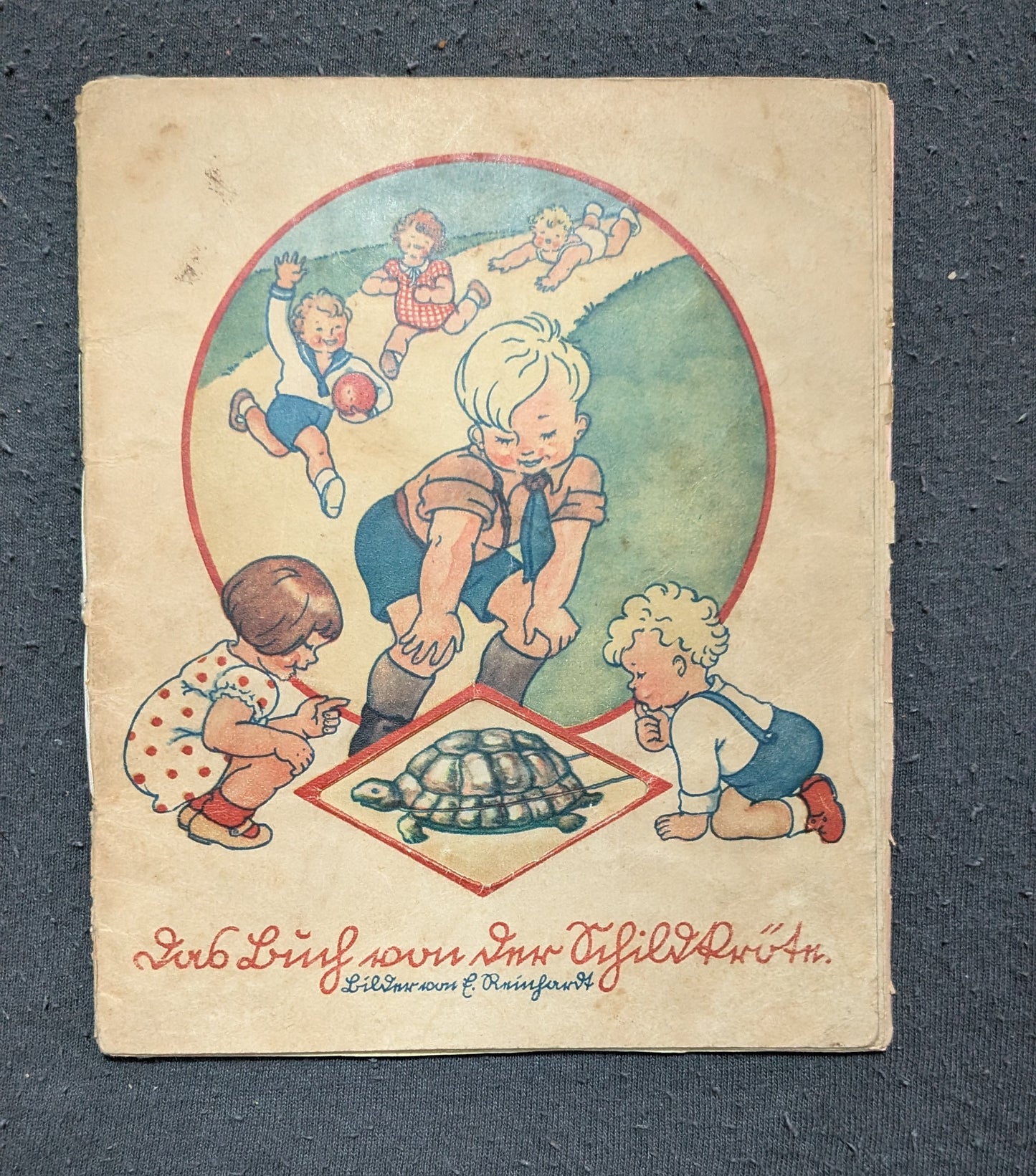 Das Buch von der Schildkröte - 2. Auflage - 1934