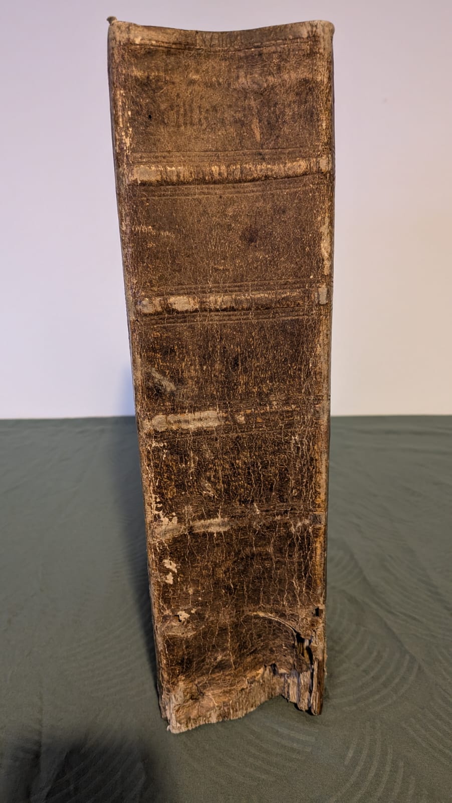 Sacra Biblia, Dietenberger Bibel, 1705