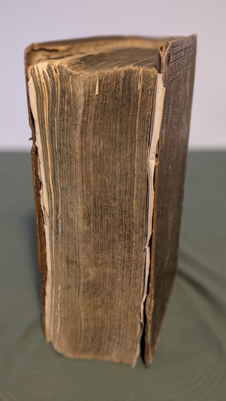 Sacra Biblia, Dietenberger Bibel, 1705