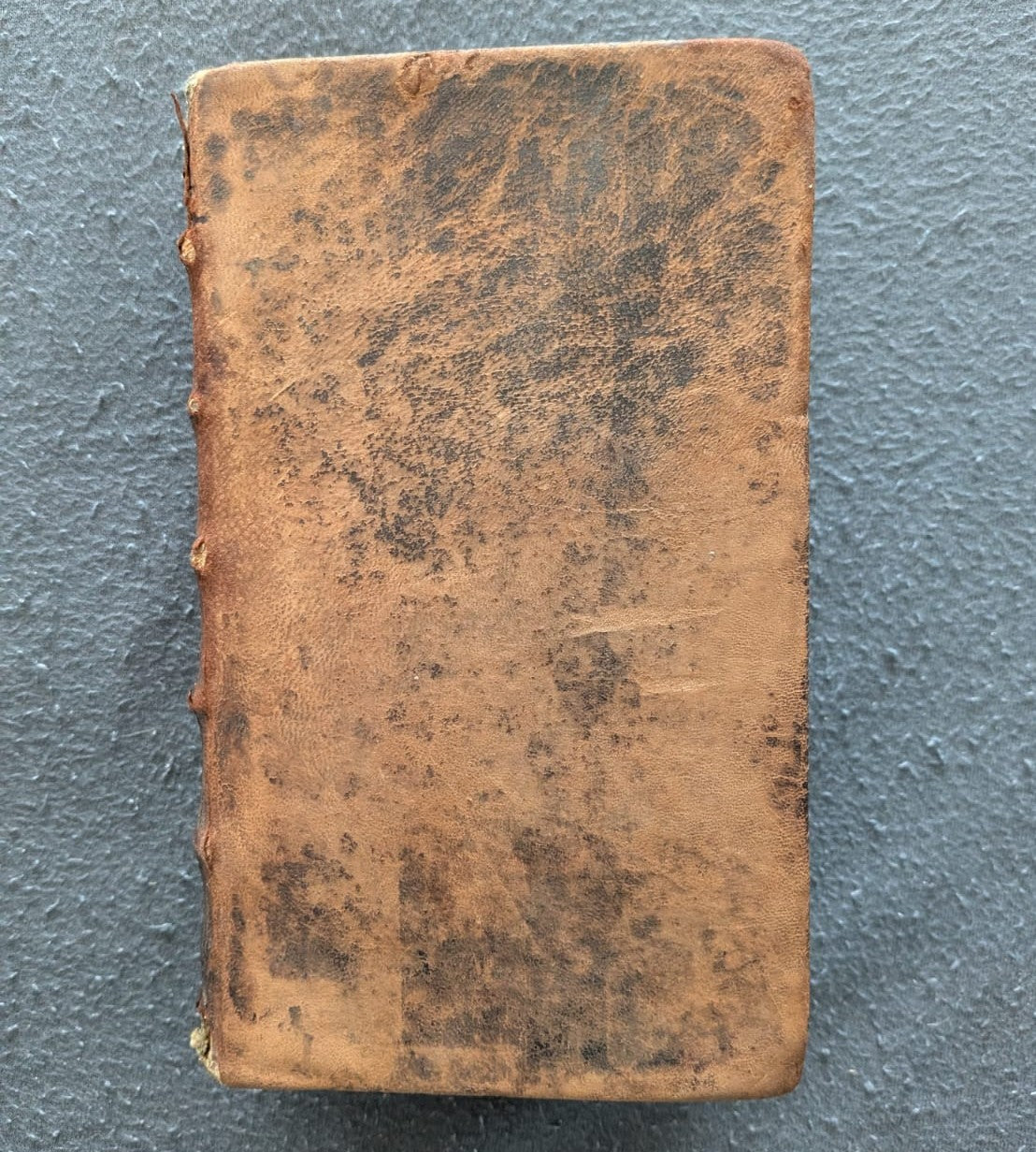 Colloquia Familiaria - 1736