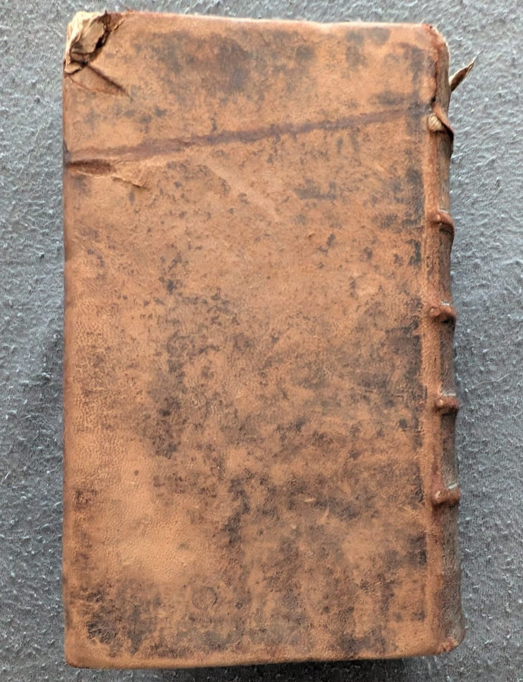 Colloquia Familiaria - 1736