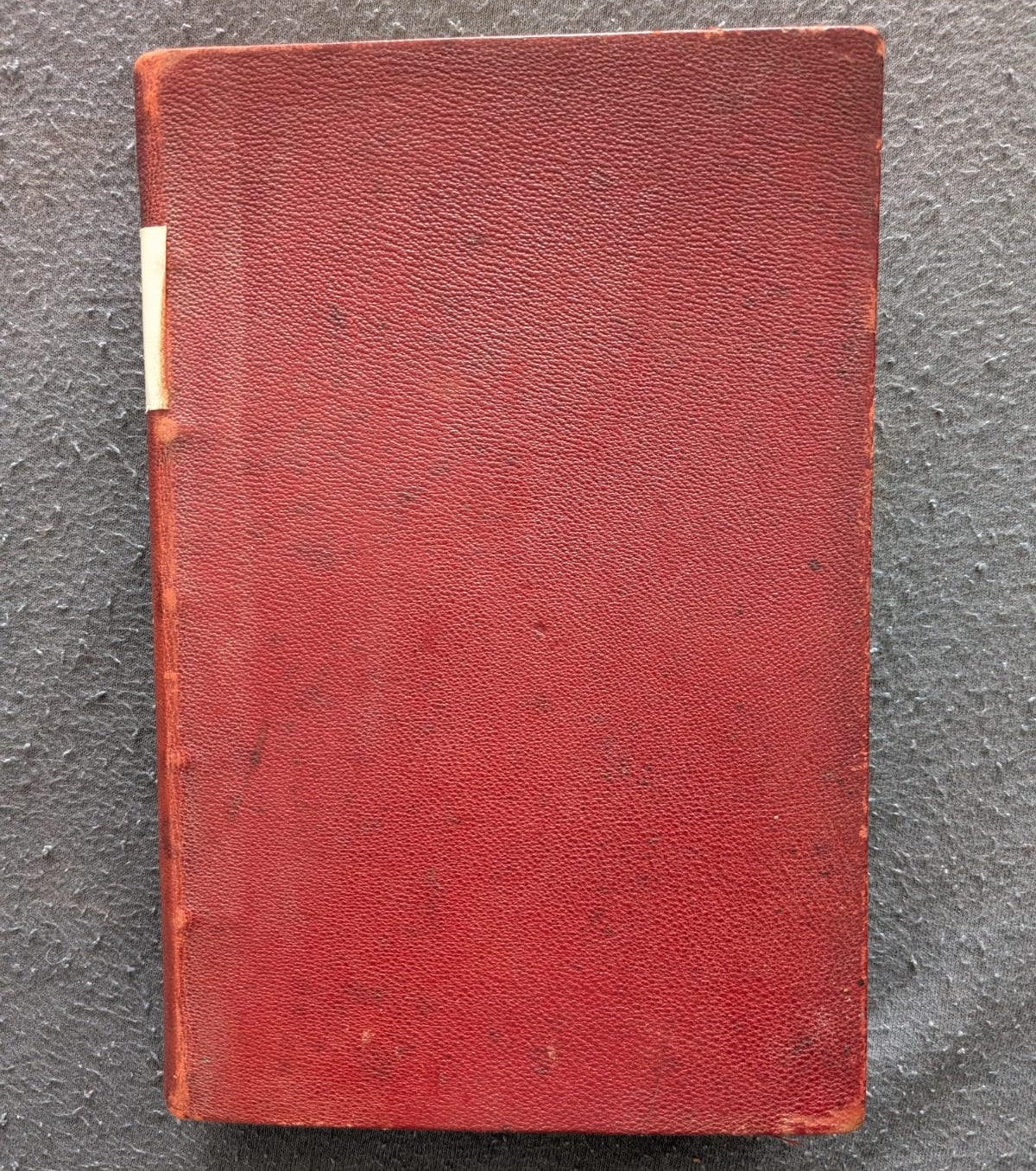 In Algerien, Marokko, Palästina und am Roten Meere - 1891 - Erstausgabe