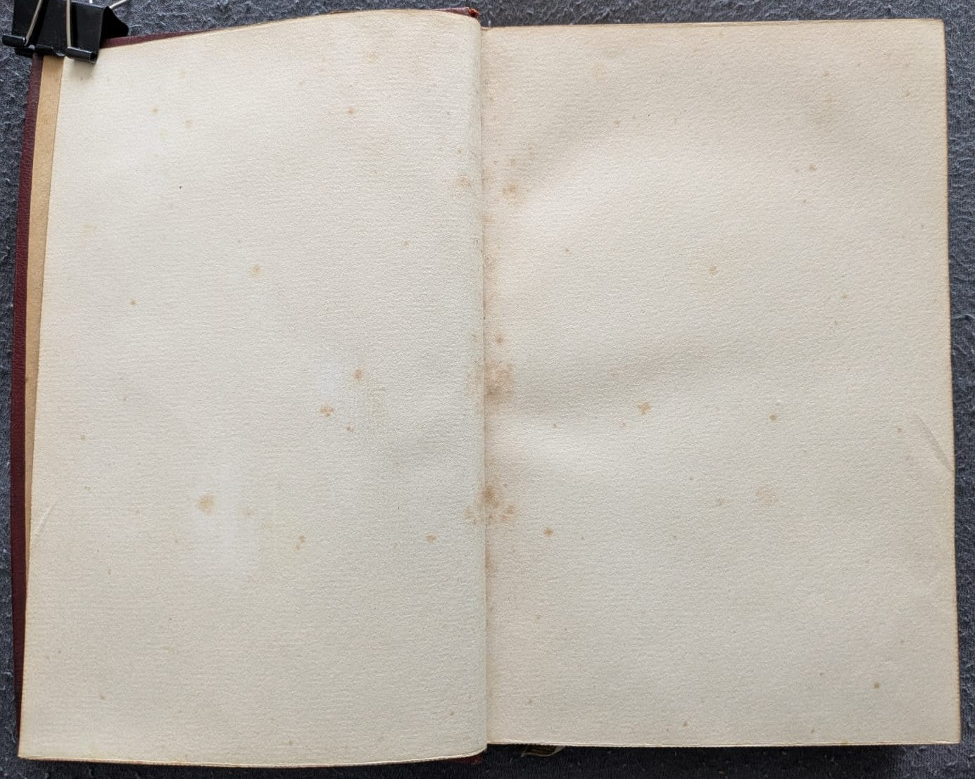 In Algerien, Marokko, Palästina und am Roten Meere - 1891 - Erstausgabe
