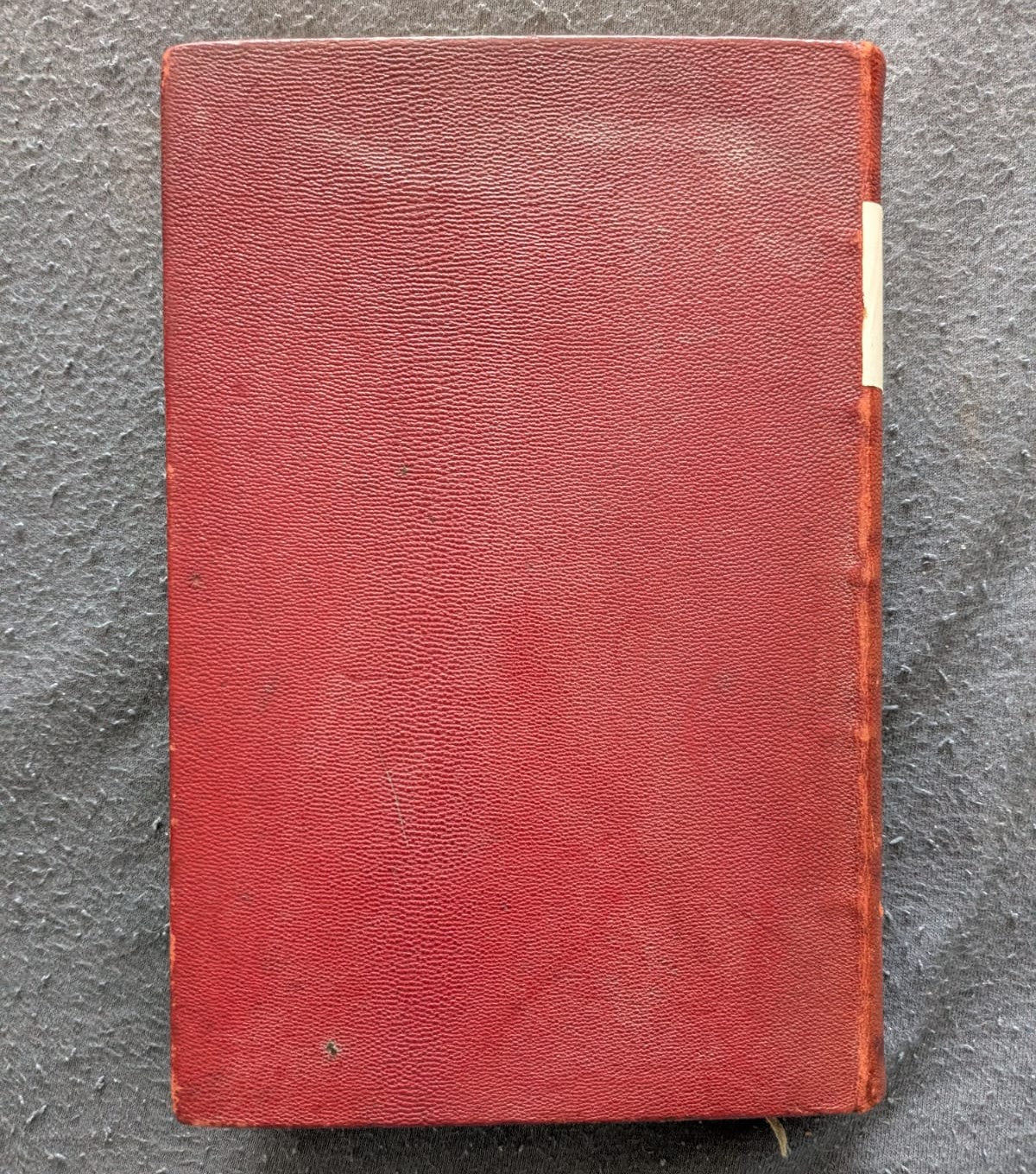 In Algerien, Marokko, Palästina und am Roten Meere - 1891 - Erstausgabe