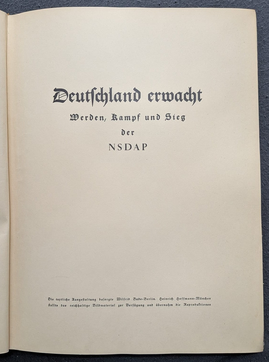 Deutschland erwacht. Werden, Kampf und Sieg der NSDAP - 1933