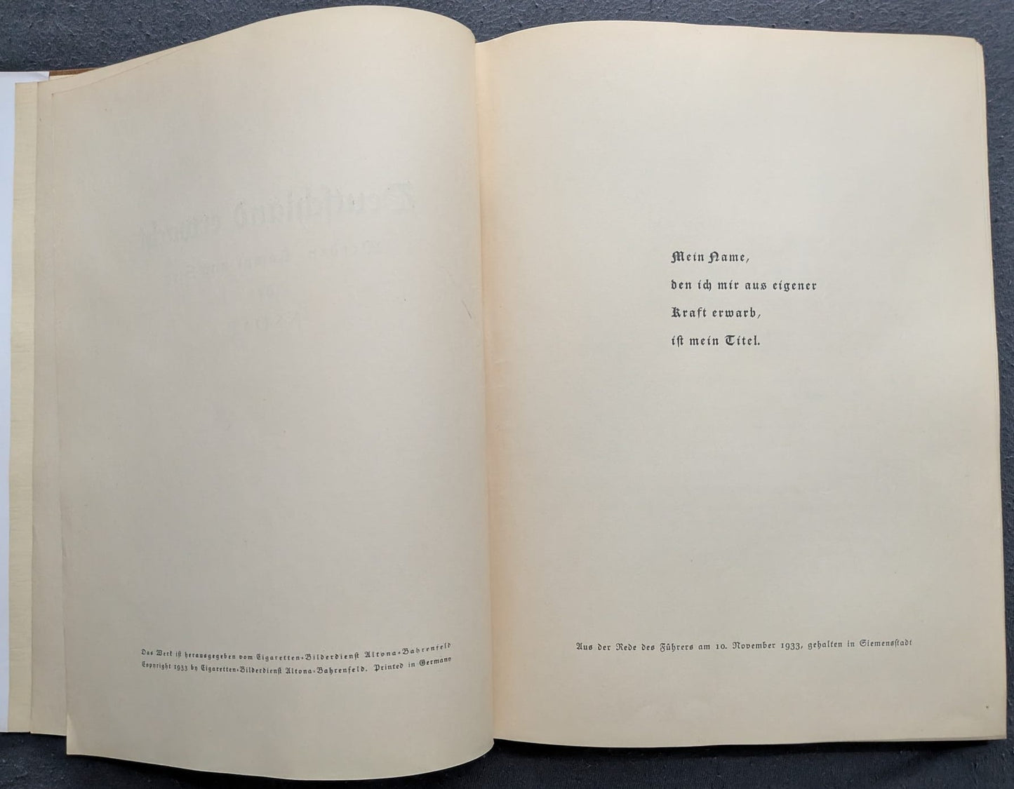 Deutschland erwacht. Werden, Kampf und Sieg der NSDAP - 1933