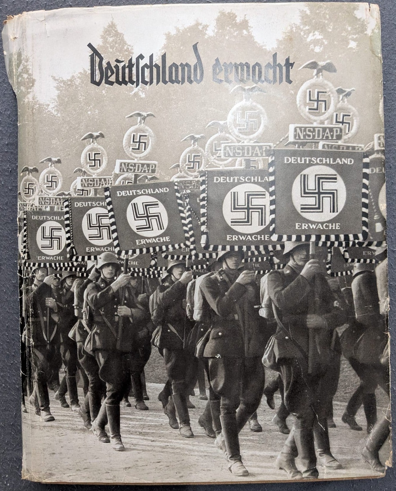 Deutschland erwacht. Werden, Kampf und Sieg der NSDAP - 1933