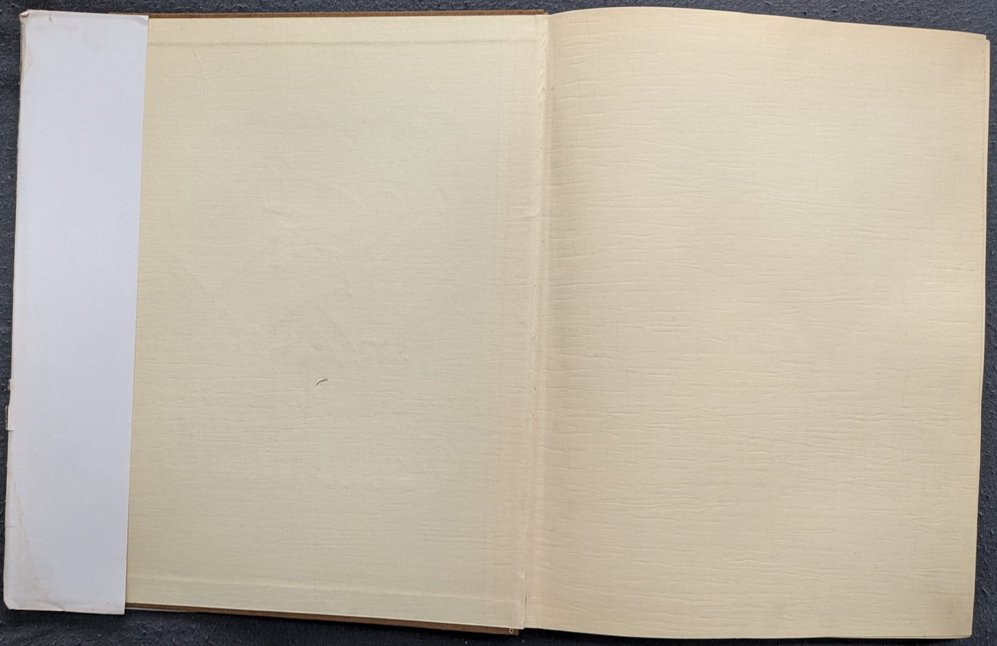 Deutschland erwacht. Werden, Kampf und Sieg der NSDAP - 1933