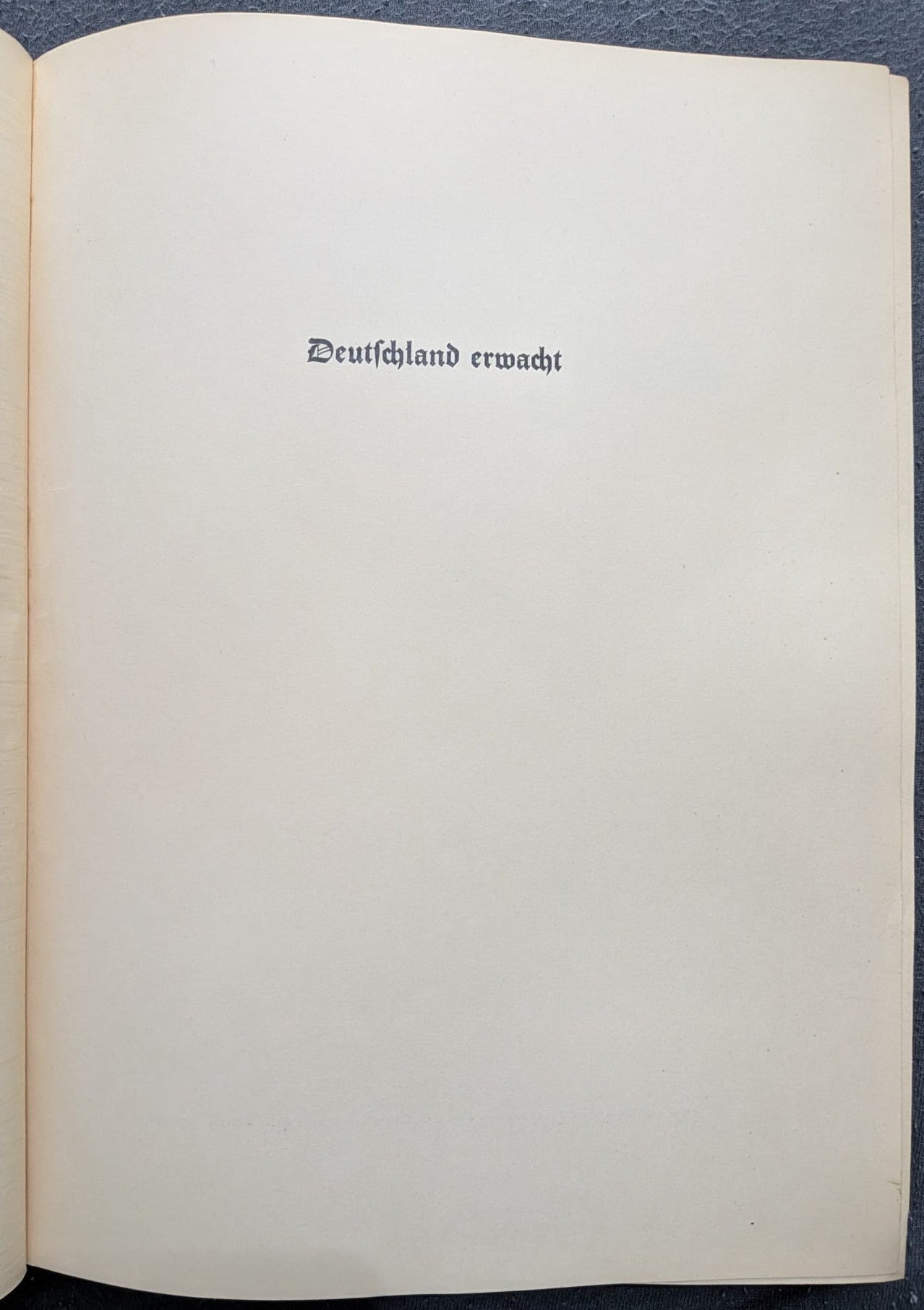 Deutschland erwacht. Werden, Kampf und Sieg der NSDAP - 1933