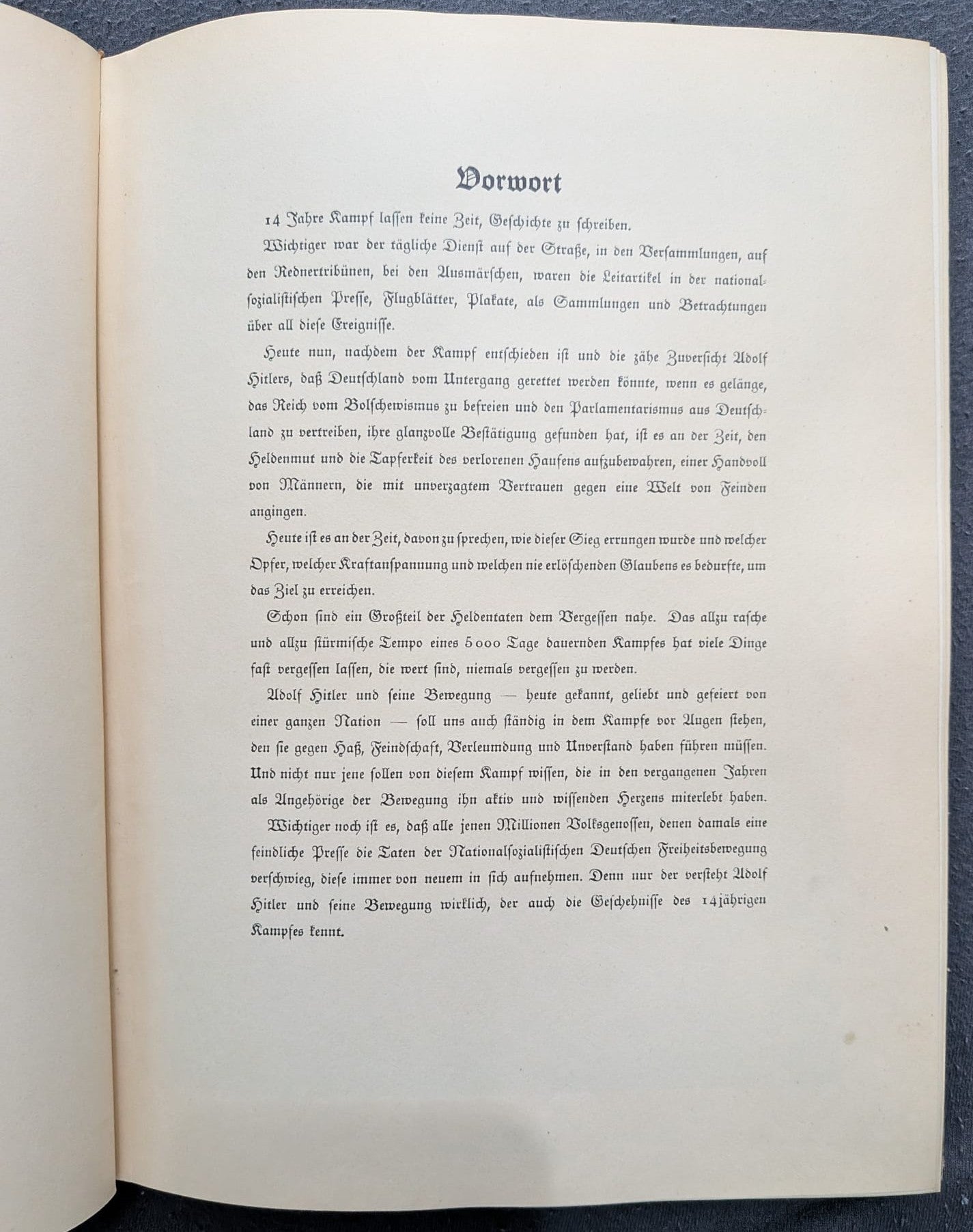 Deutschland erwacht. Werden, Kampf und Sieg der NSDAP - 1933