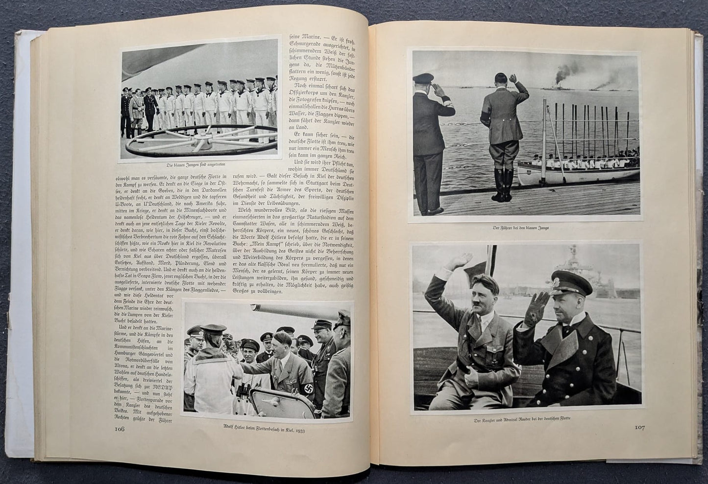 Deutschland erwacht. Werden, Kampf und Sieg der NSDAP - 1933