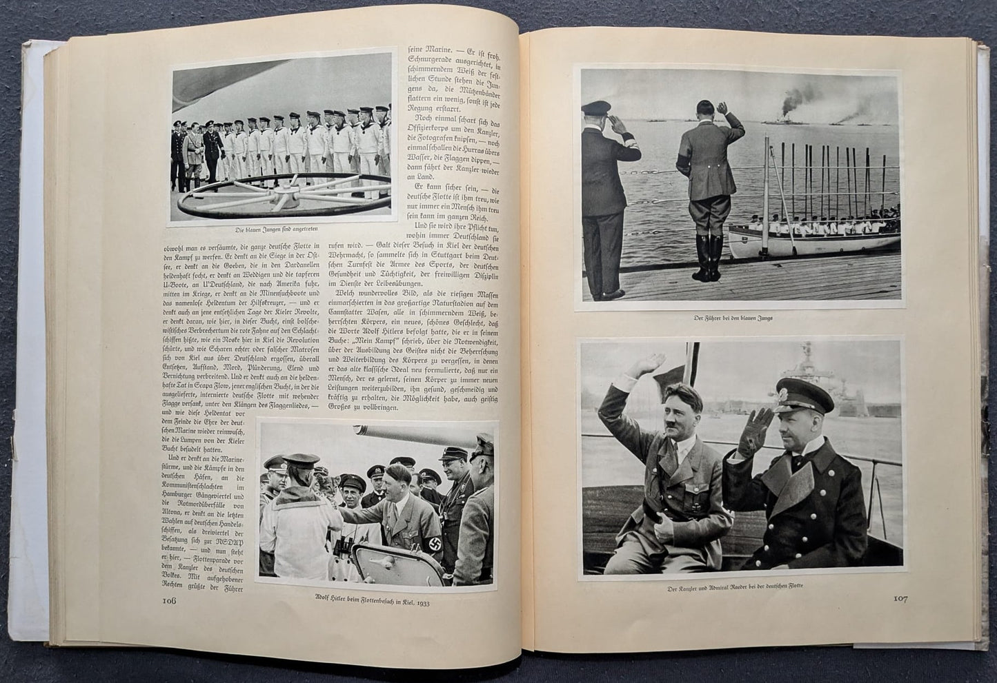 Deutschland erwacht. Werden, Kampf und Sieg der NSDAP - 1933