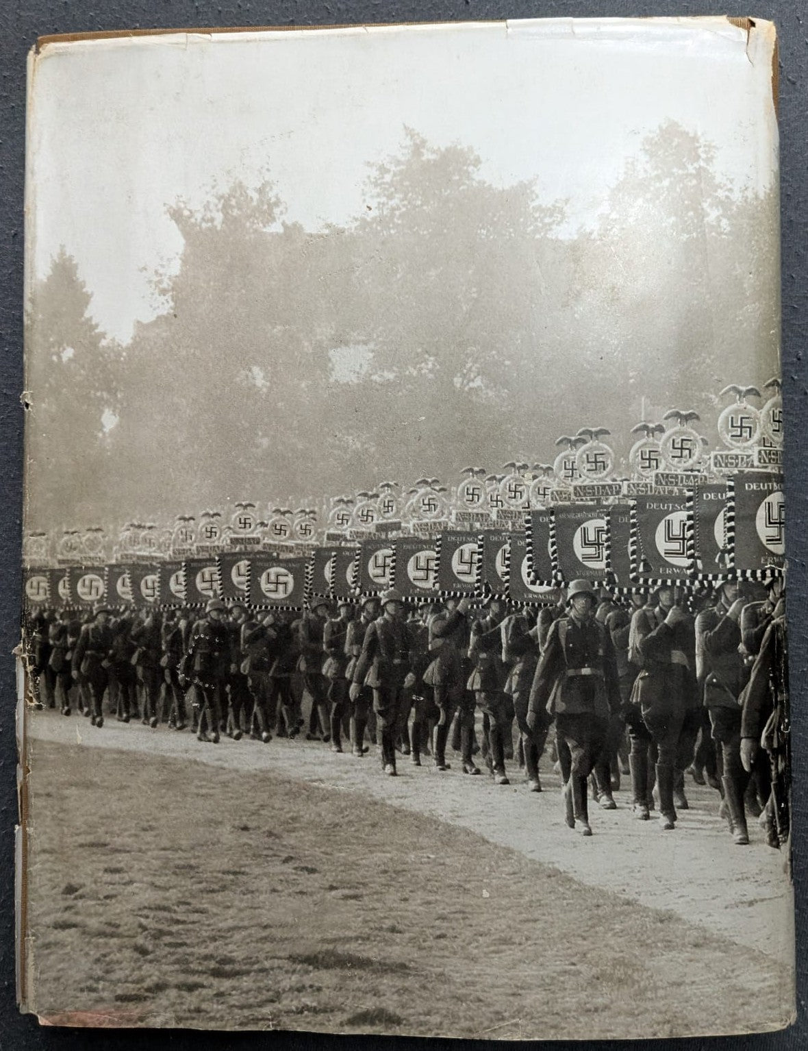 Deutschland erwacht. Werden, Kampf und Sieg der NSDAP - 1933